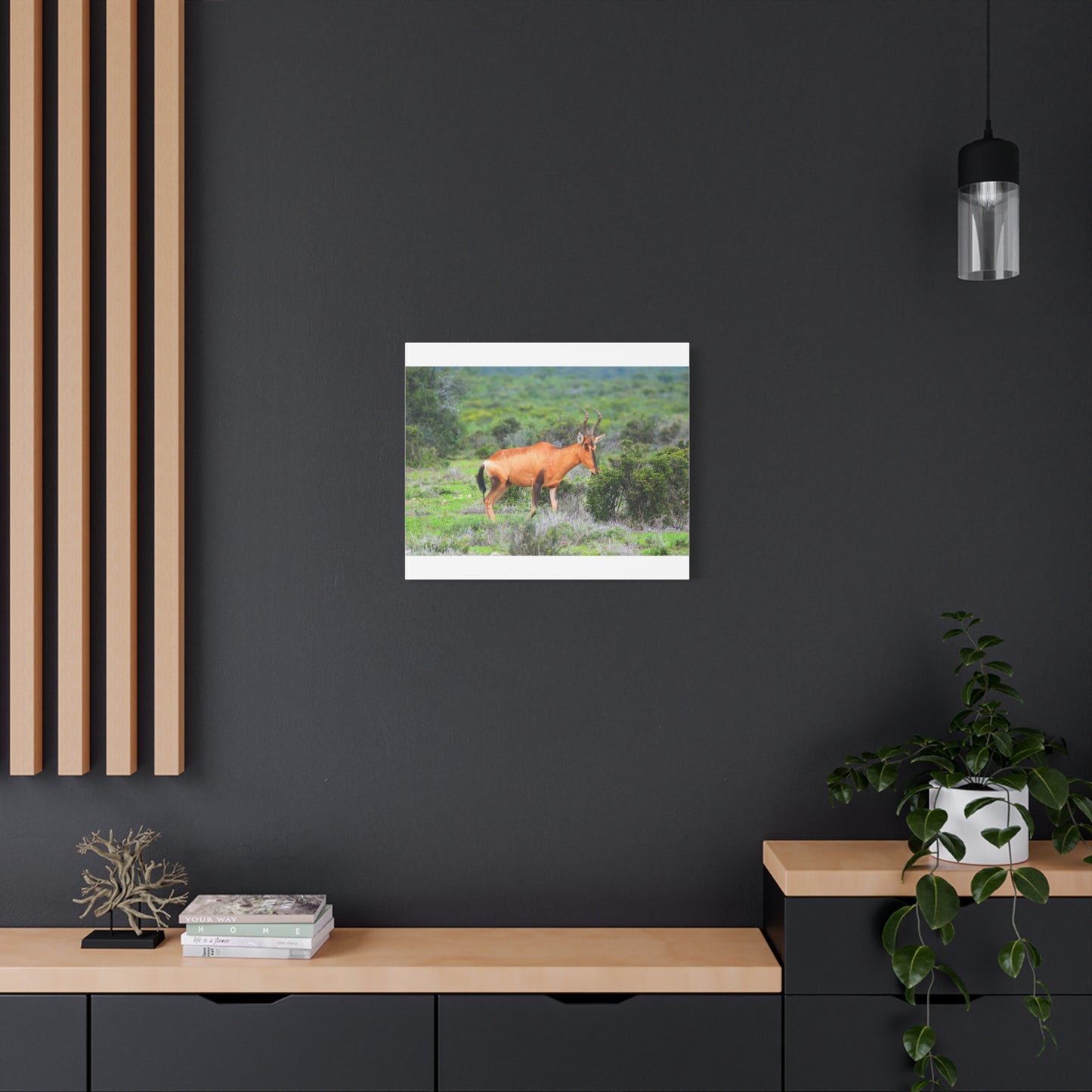 Africa Red Hartebeest - Canvas Print