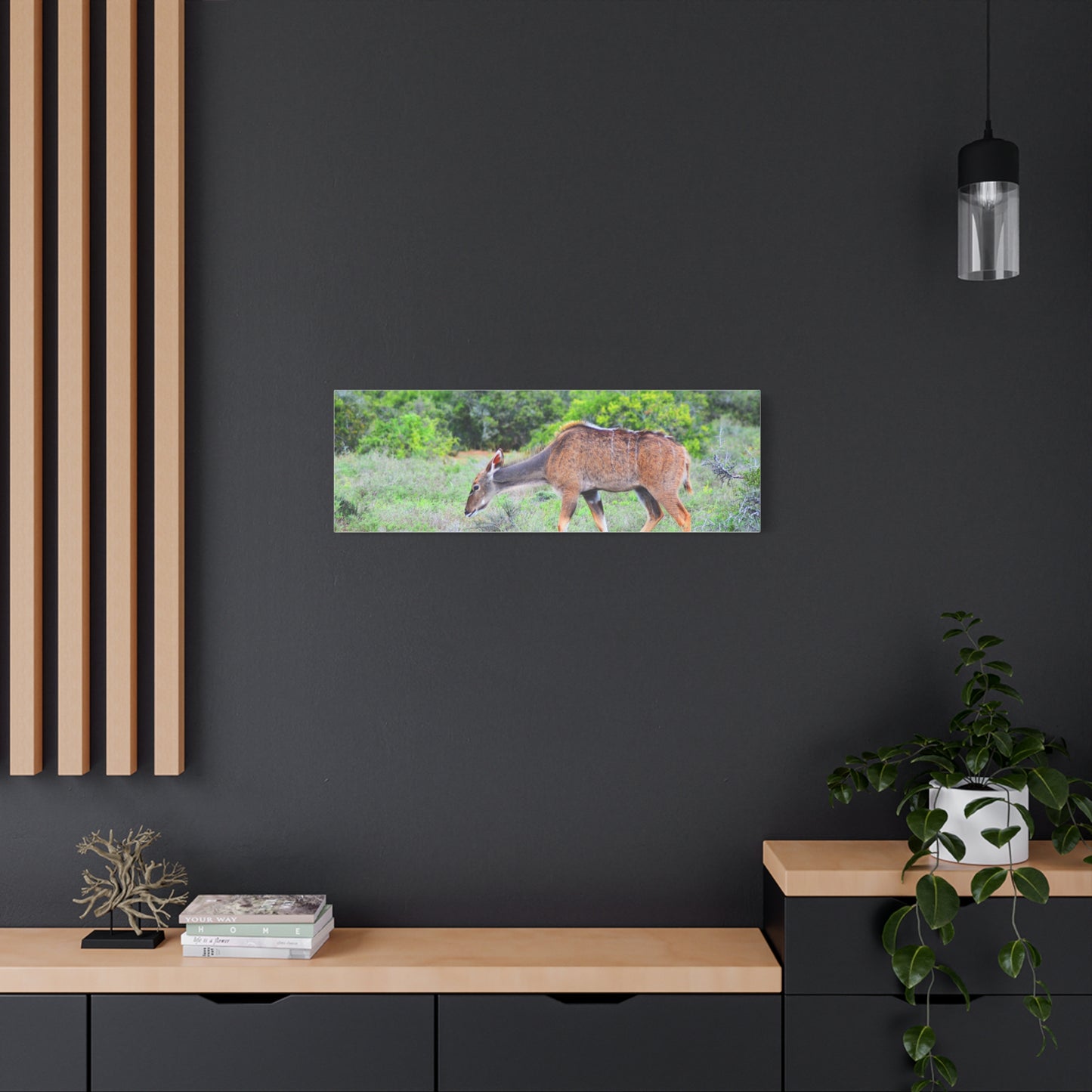 Africa Kudu Cow - Canvas Print