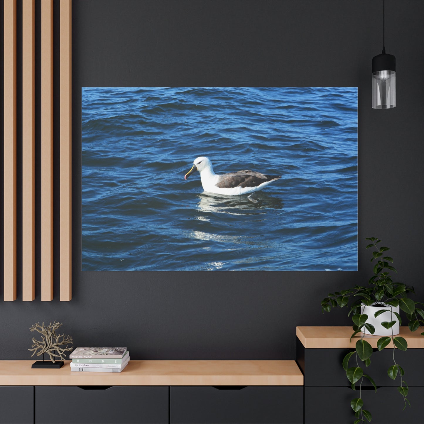 Albatross Canvas Print Sea Bird