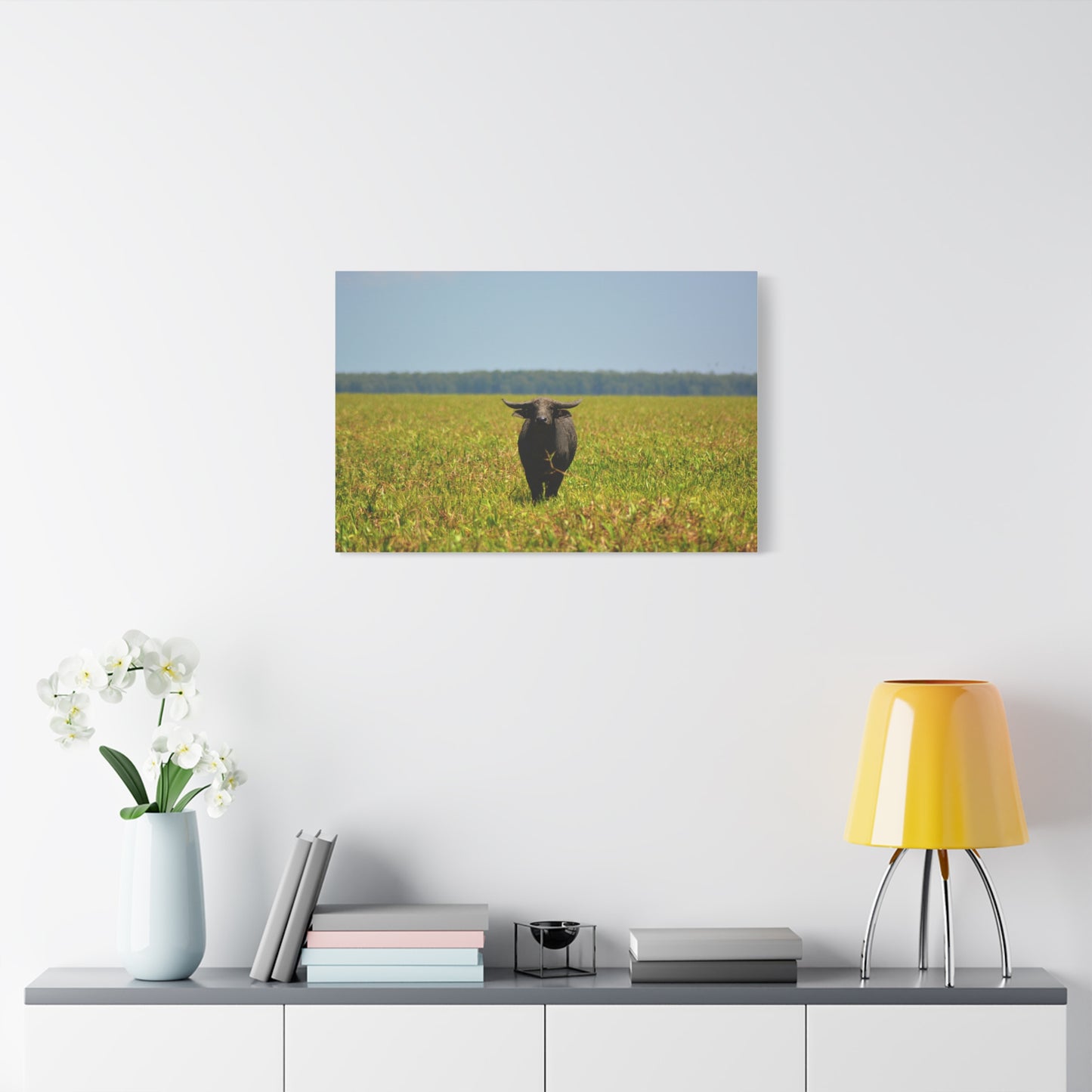 Asiatic Water Buffalo Australian Outback - Canvas Print
