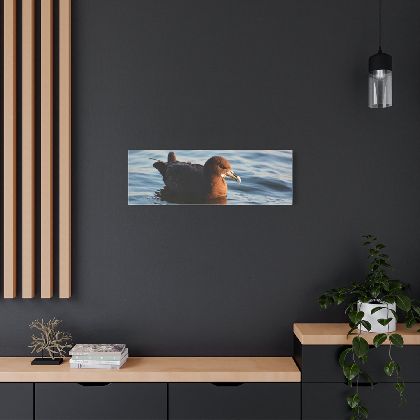 Bird Art Wall Decor, Coastal Wall Art, Ocean Decor, Nature Photography, Sea Bird Print