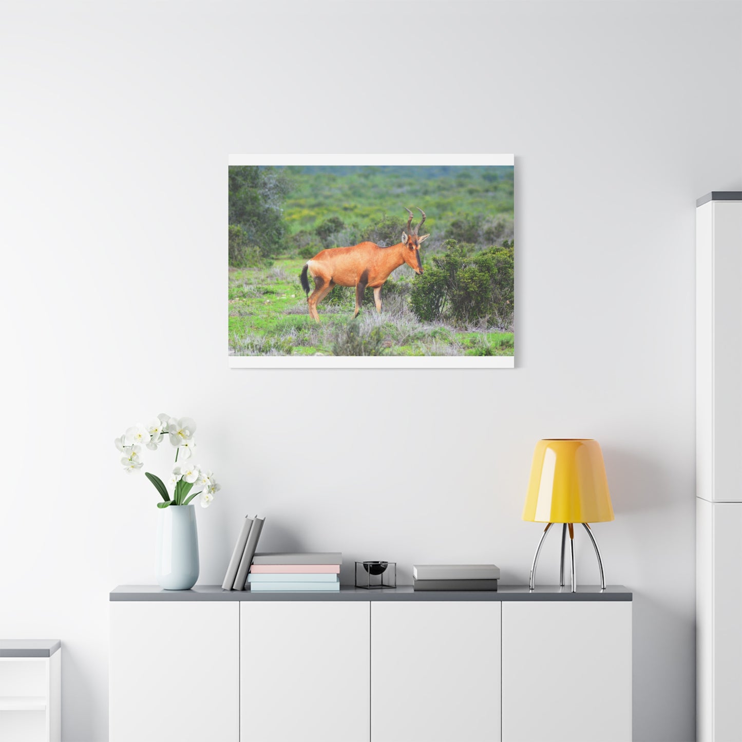 Africa Red Hartebeest - Canvas Print