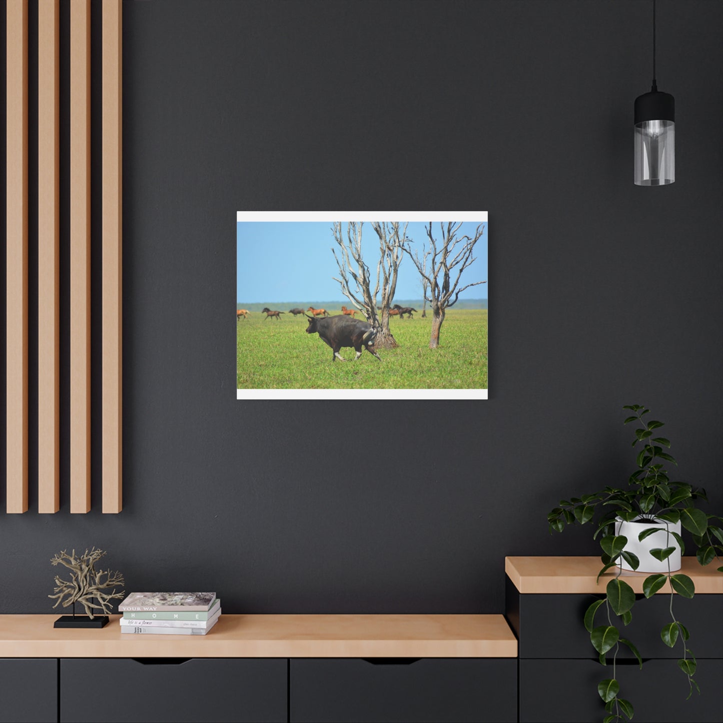 Australia Banteng - Canvas Print