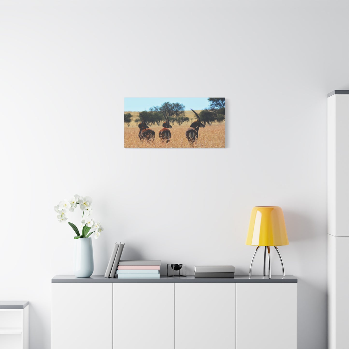 Sable Trio in Africa Canvas Print