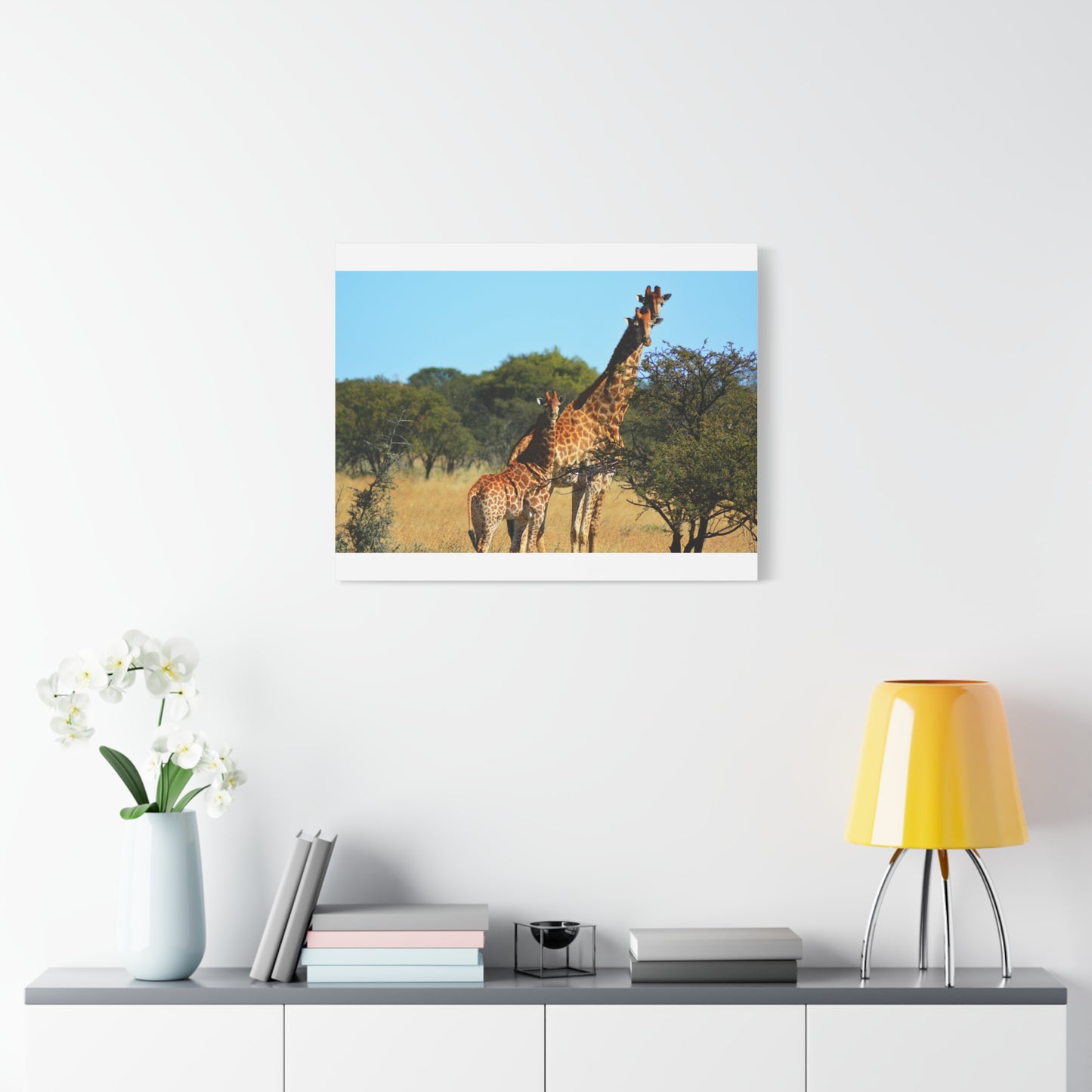 Giraffe Family in Africa