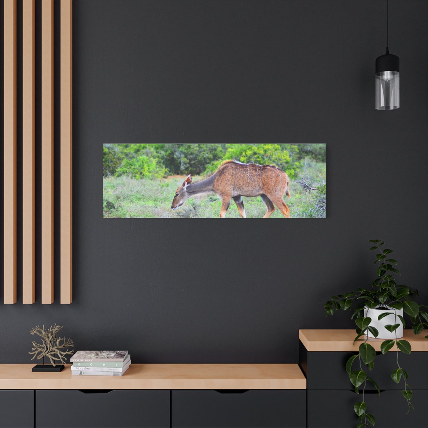 Africa Kudu Cow - Canvas Print