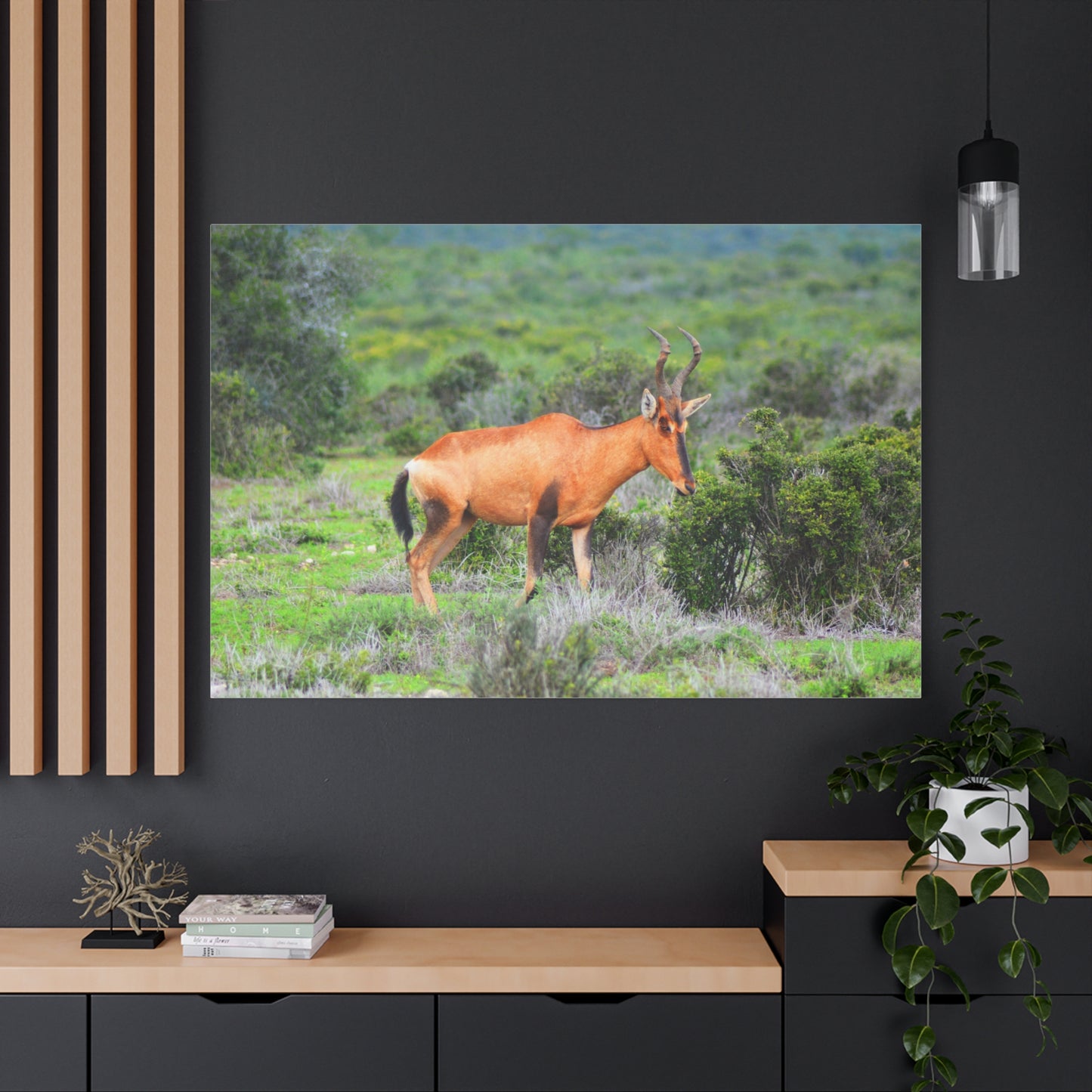 Africa Red Hartebeest - Canvas Print