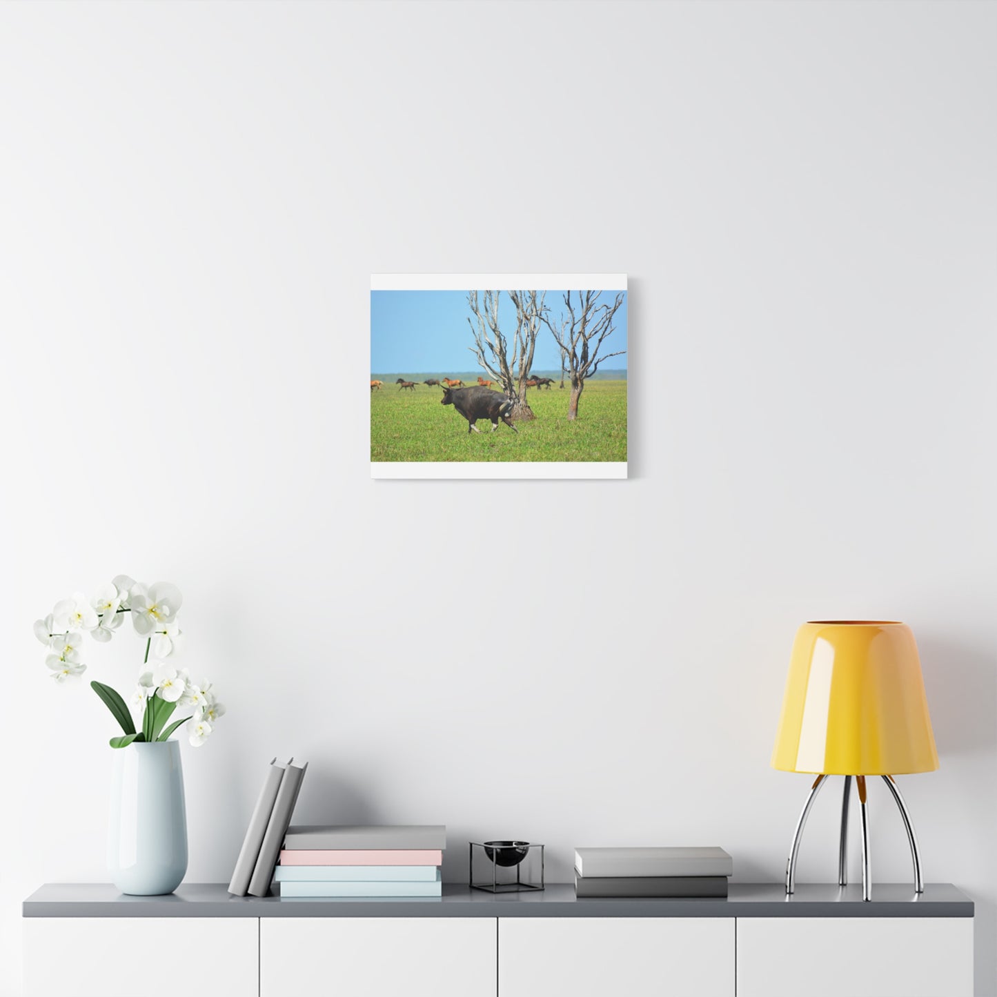 Australia Banteng - Canvas Print