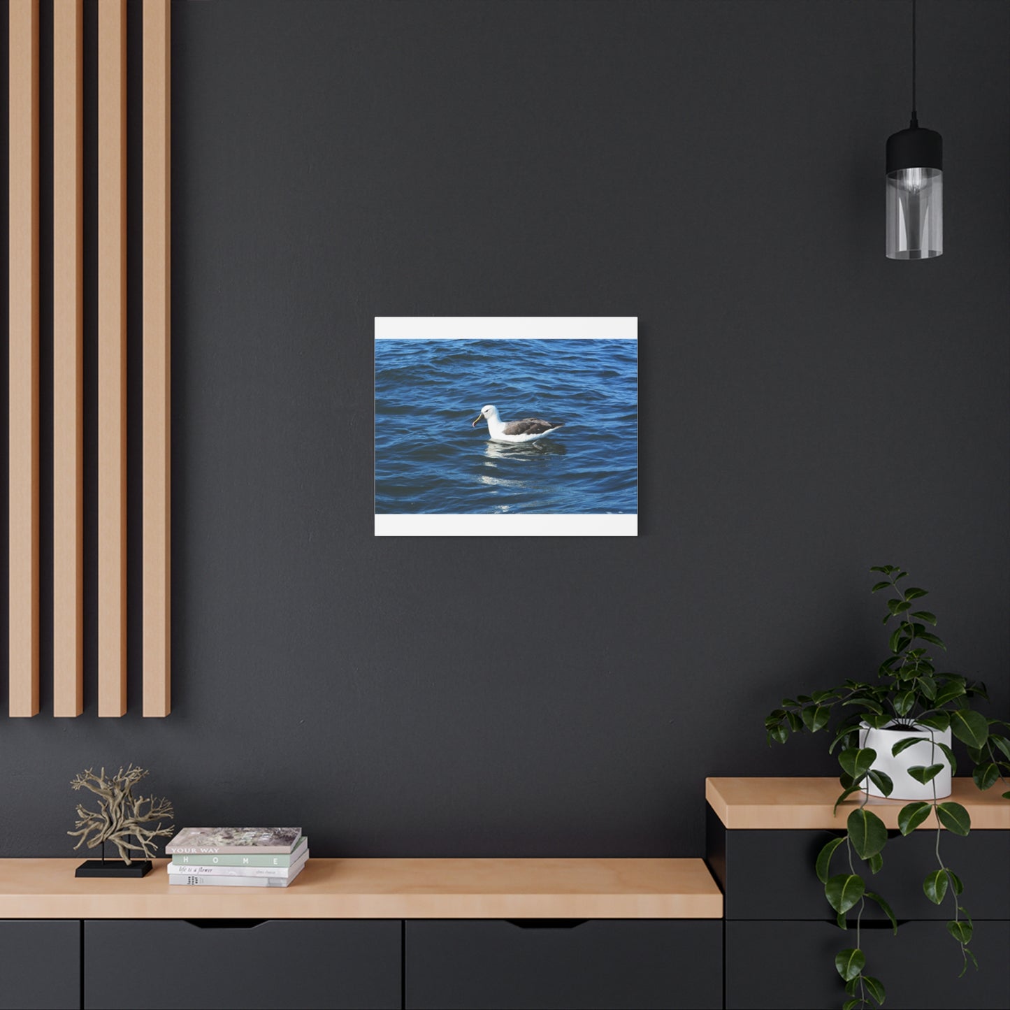 Albatross Canvas Print Sea Bird