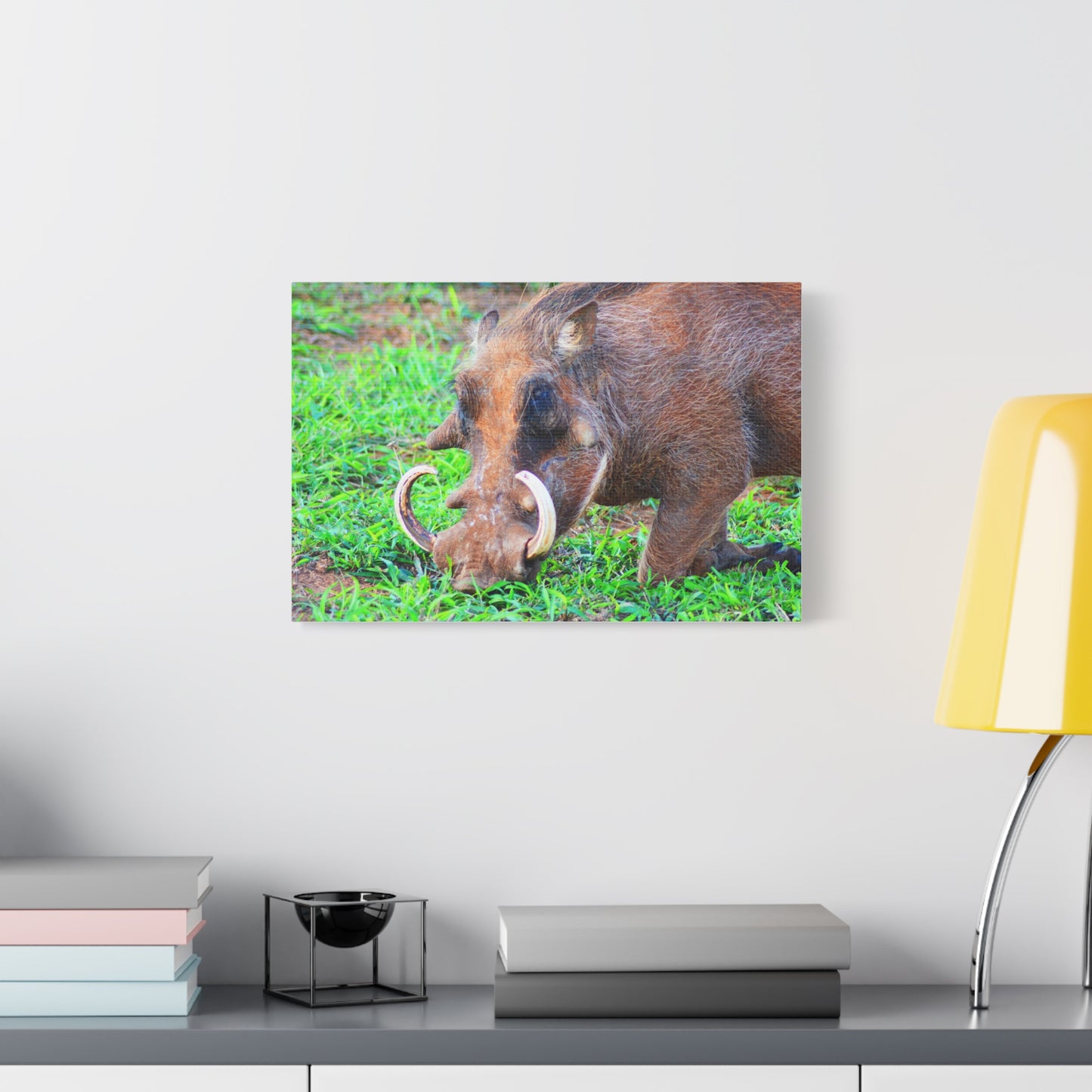 African Warthog Eating - Canvas Print