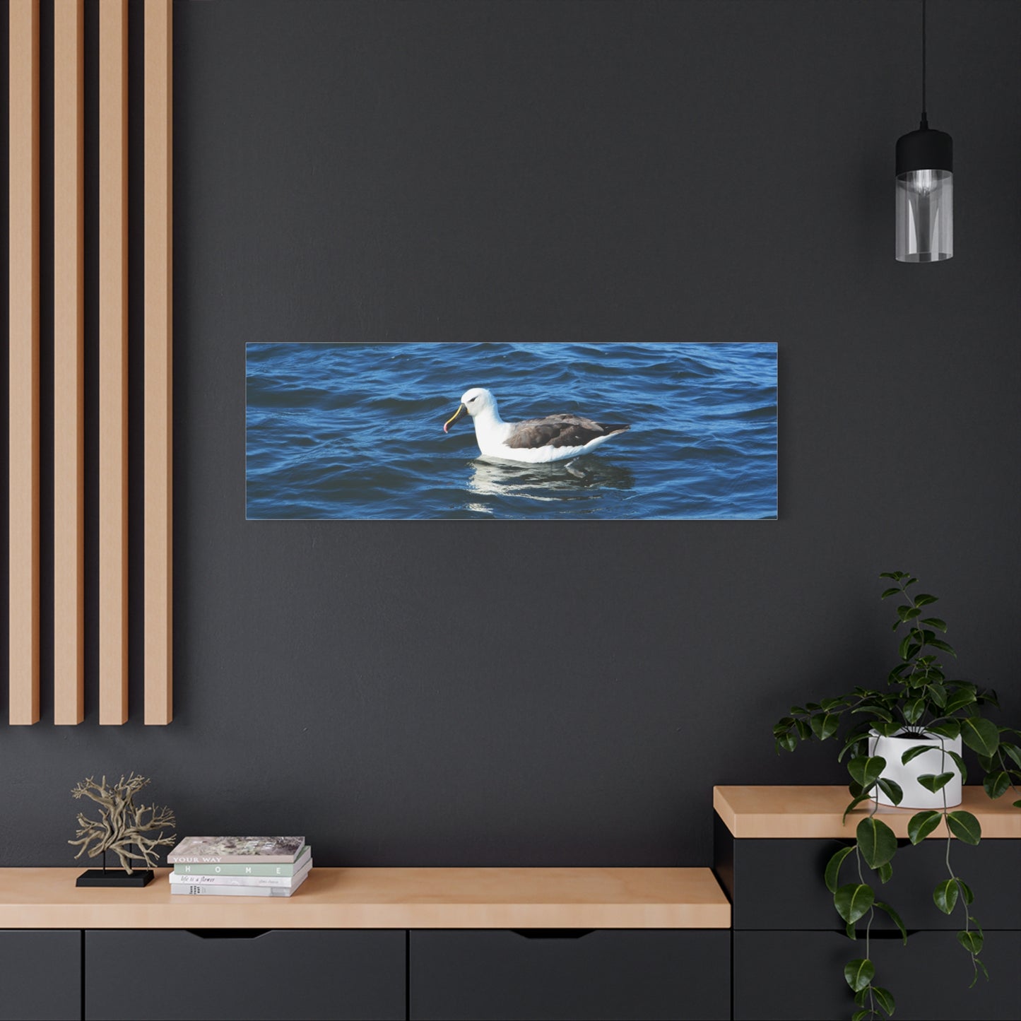 Albatross Canvas Print Sea Bird