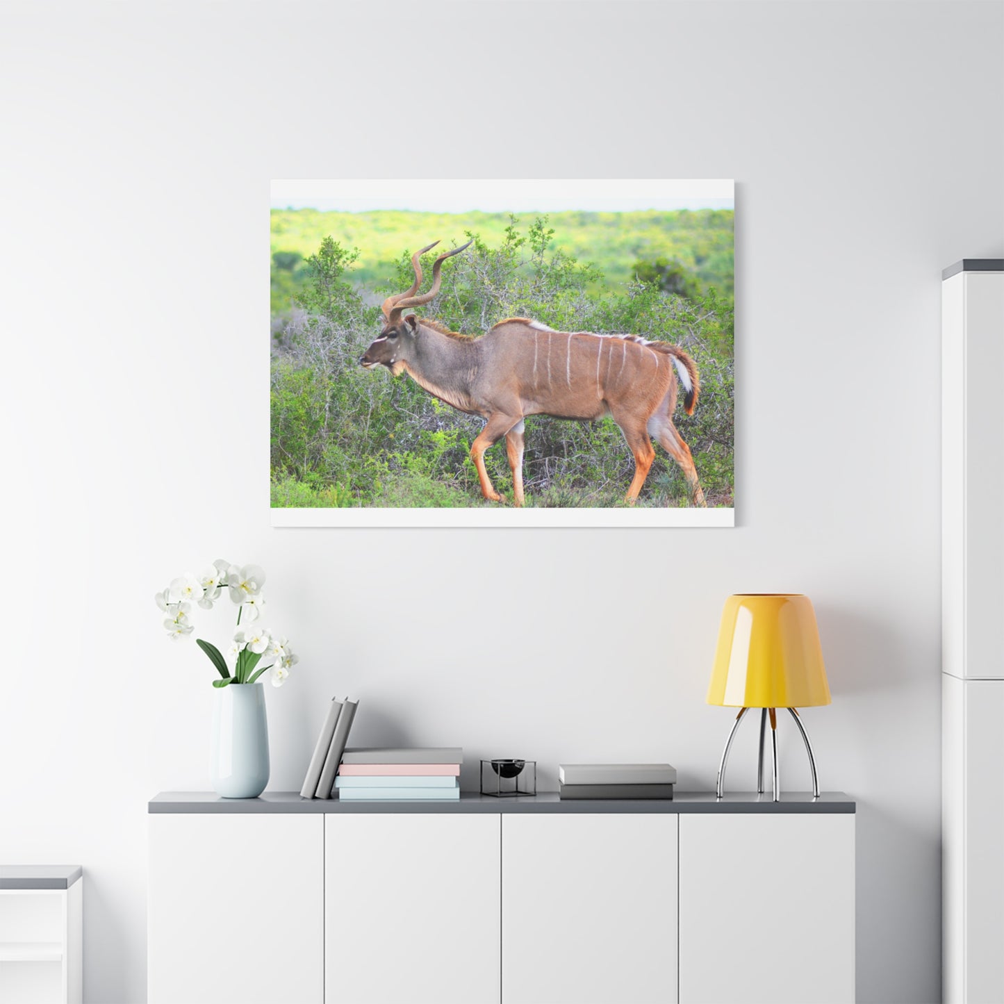 Africa Kudu Bull - Canvas Print