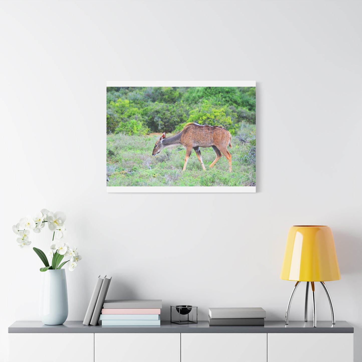 Africa Kudu Cow - Canvas Print