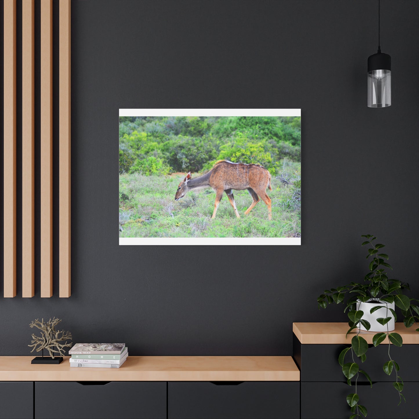 Africa Kudu Cow - Canvas Print