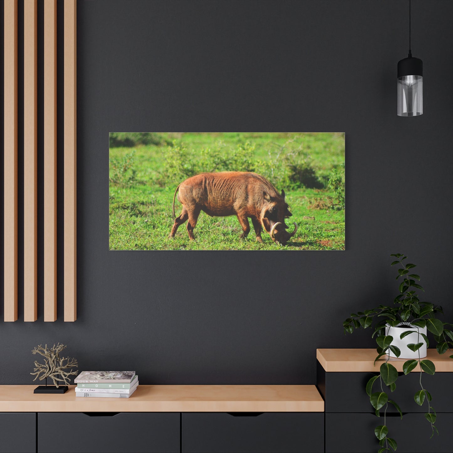 African Warthog - Canvas Print