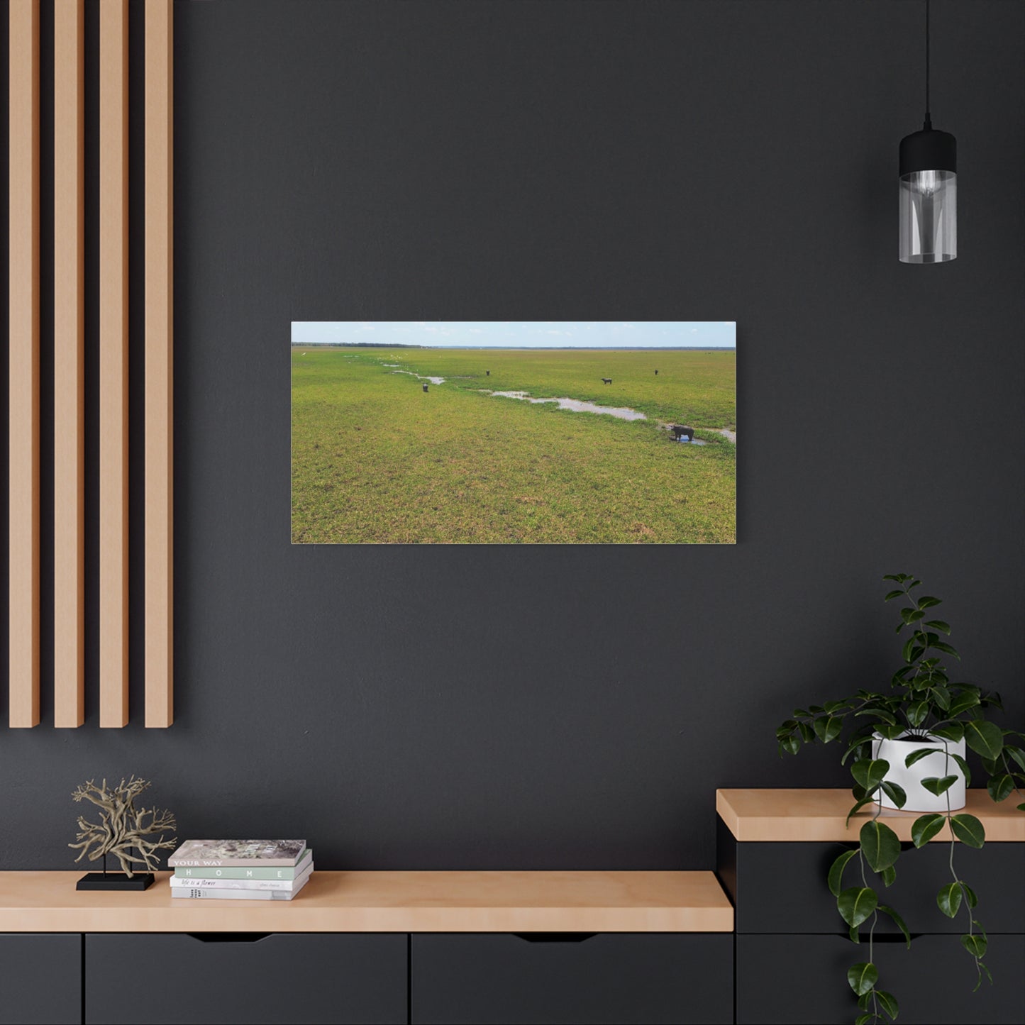 Asiatic Water Buffalo Australian Outback - Canvas Print