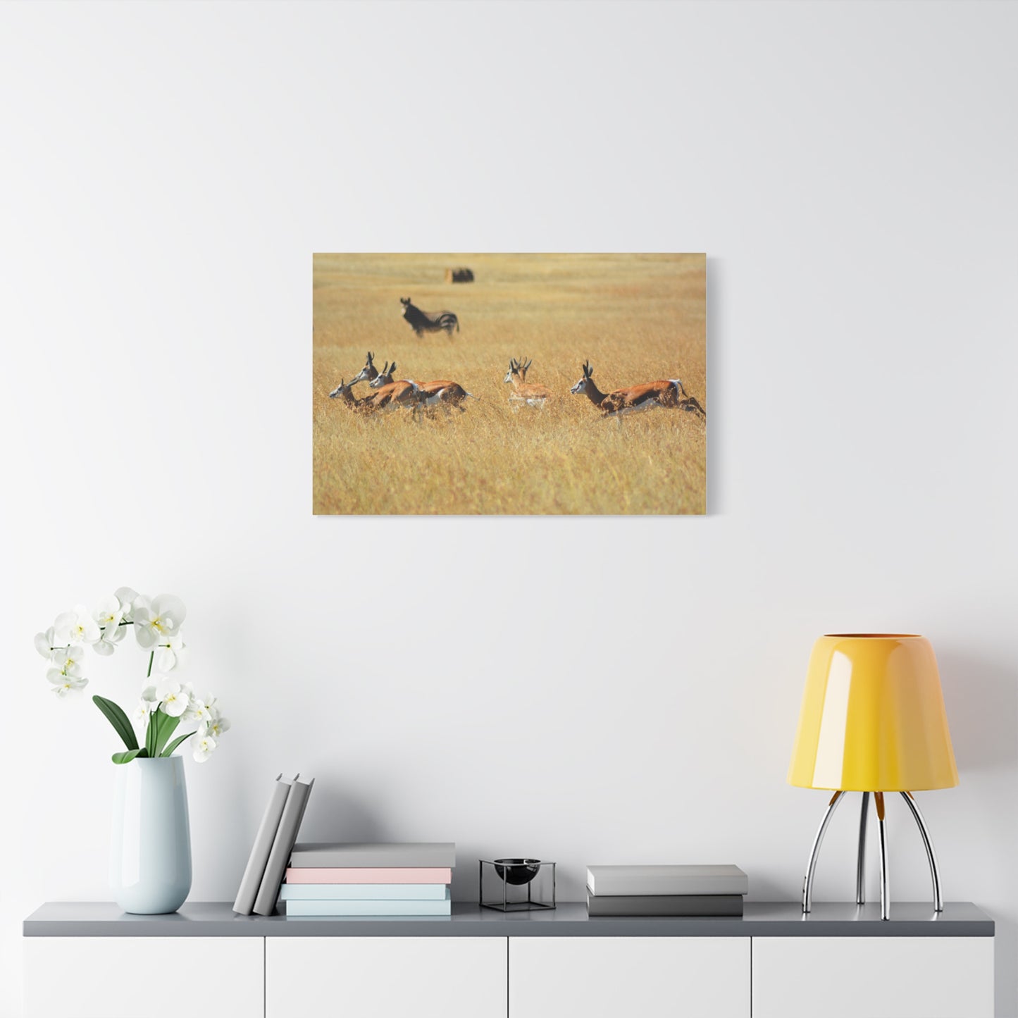 Springbok Herd in African Savannah