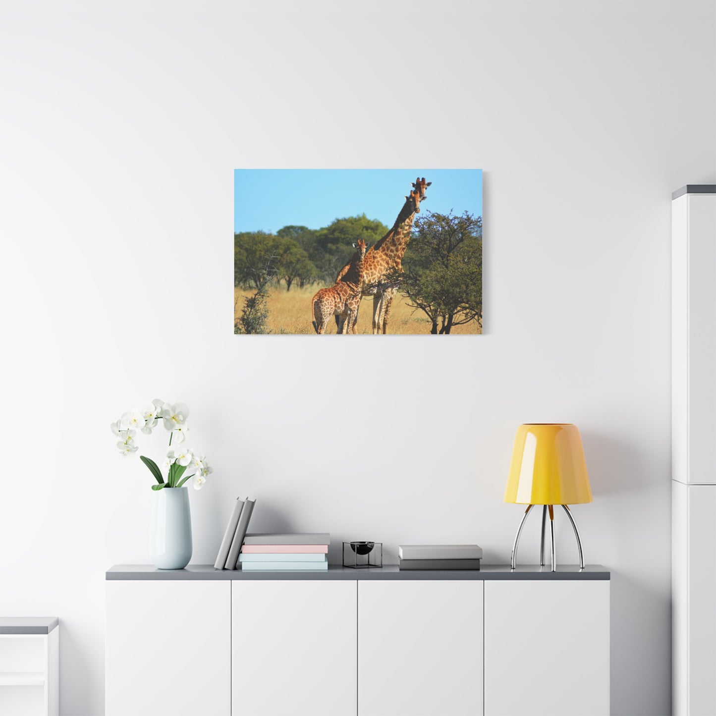 Giraffe Family in Africa