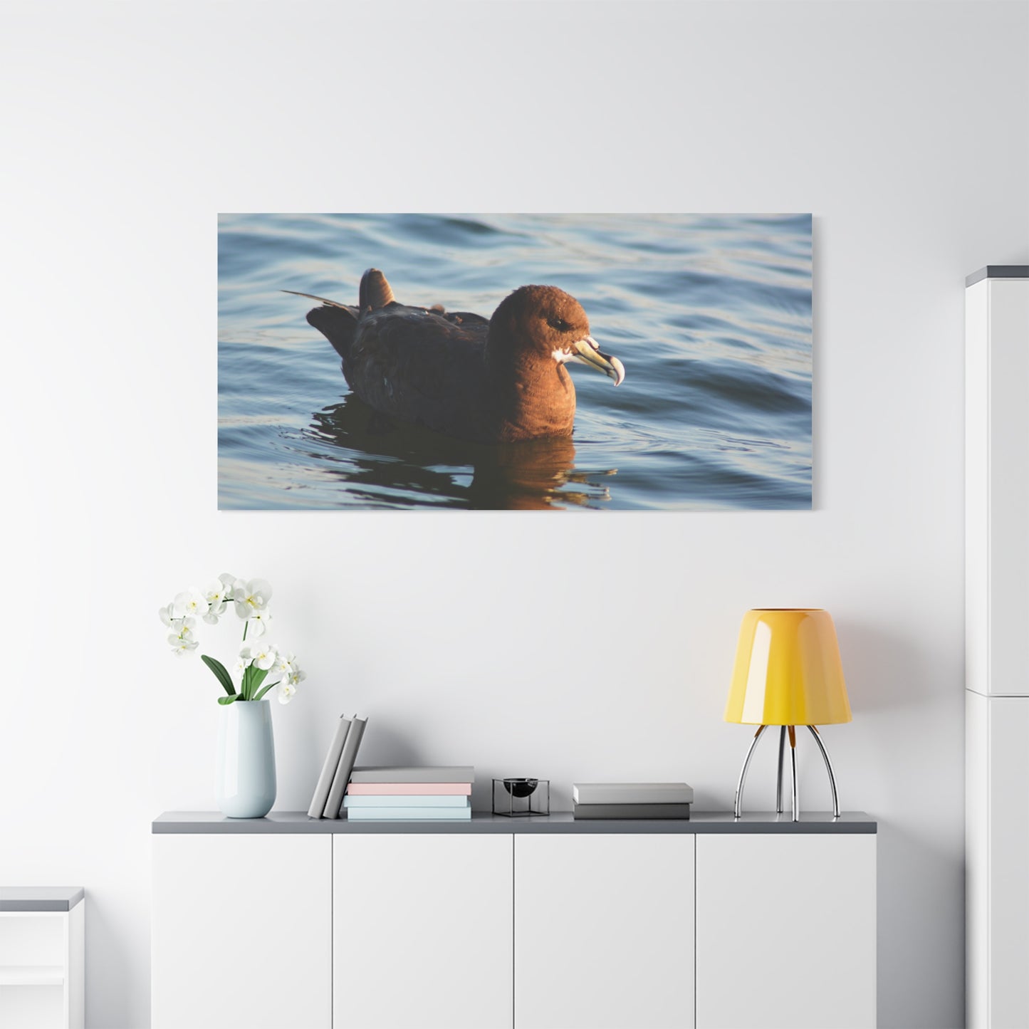 Bird Art Wall Decor, Coastal Wall Art, Ocean Decor, Nature Photography, Sea Bird Print