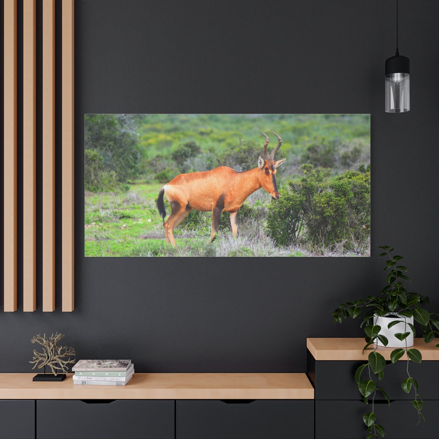 Africa Red Hartebeest - Canvas Print