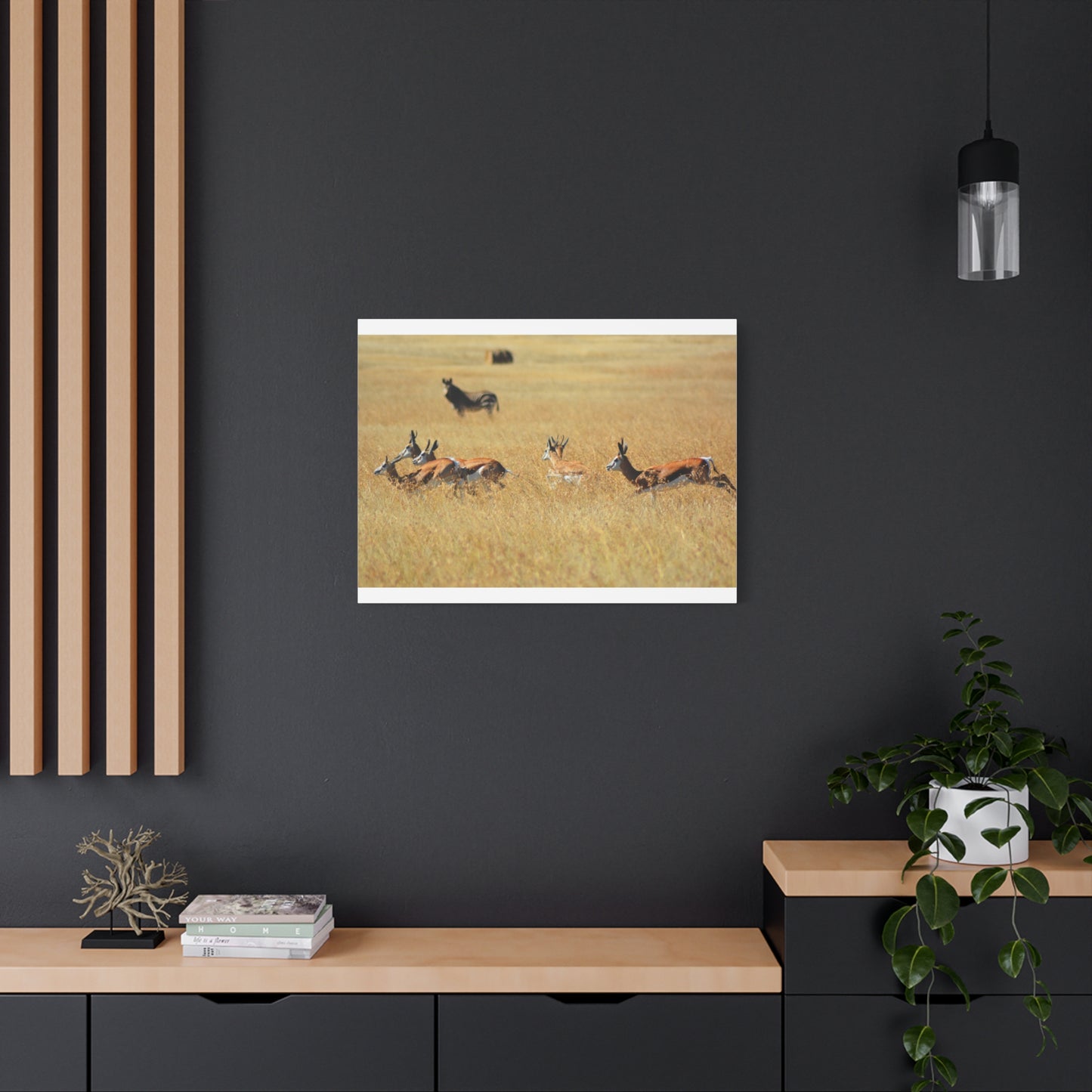 Springbok Herd in African Savannah