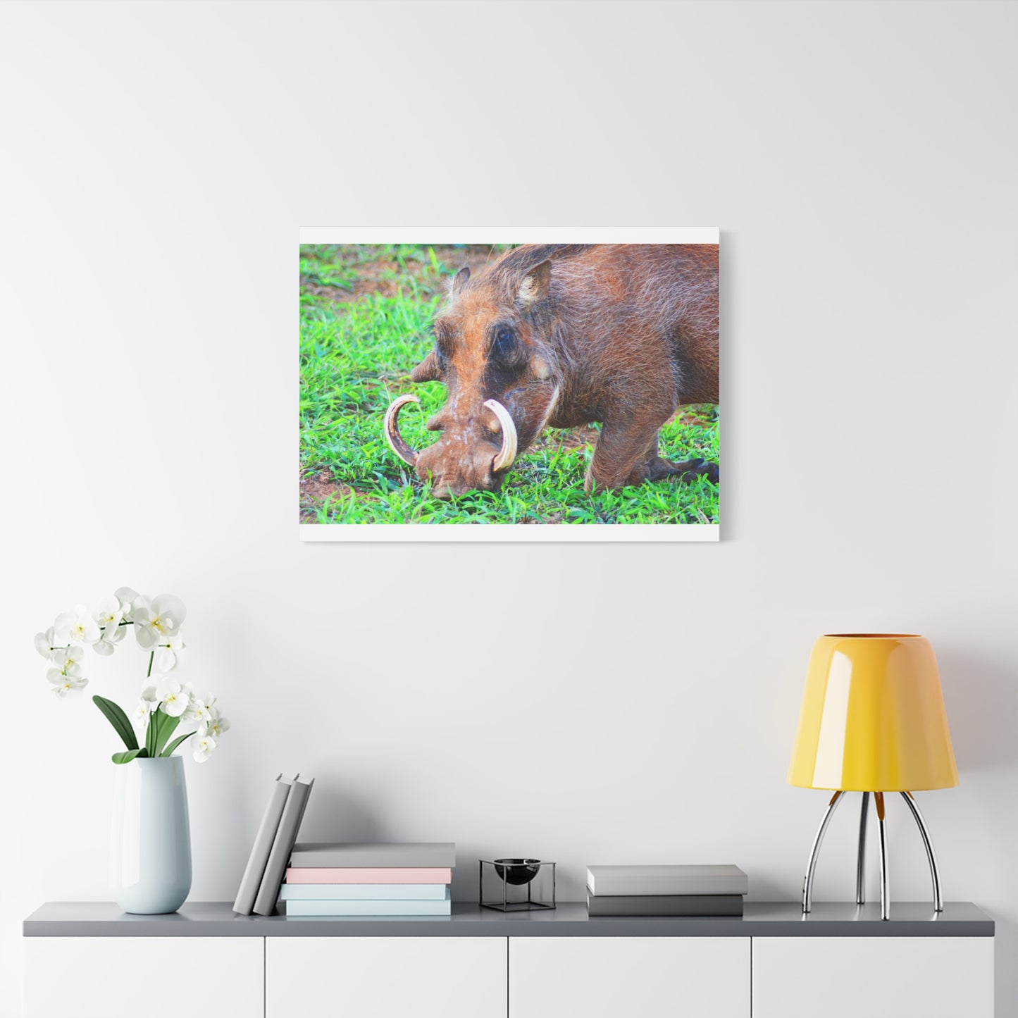 African Warthog Eating - Canvas Print