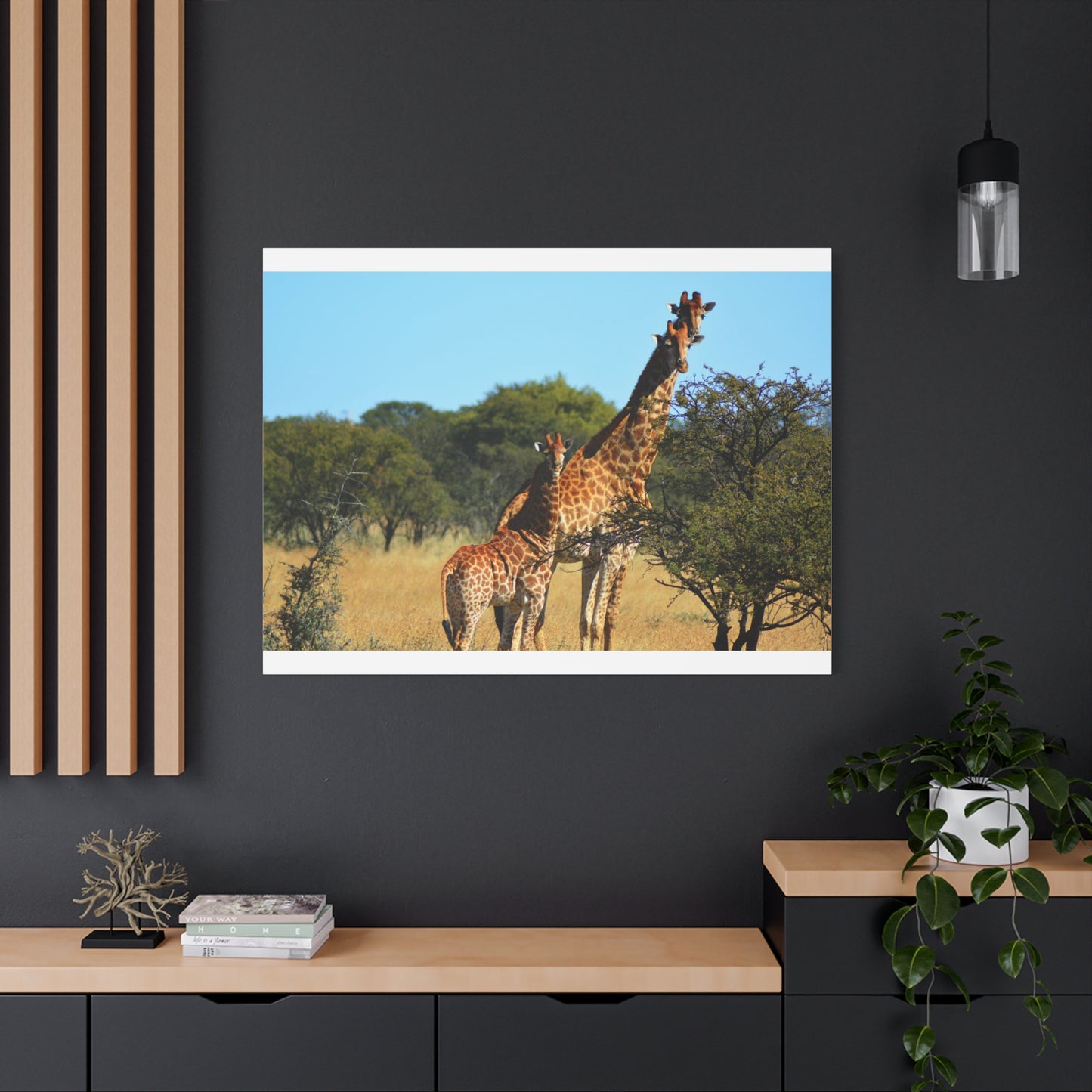 Giraffe Family in Africa