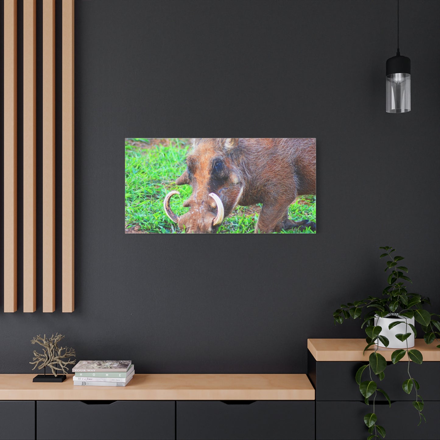 African Warthog Eating - Canvas Print