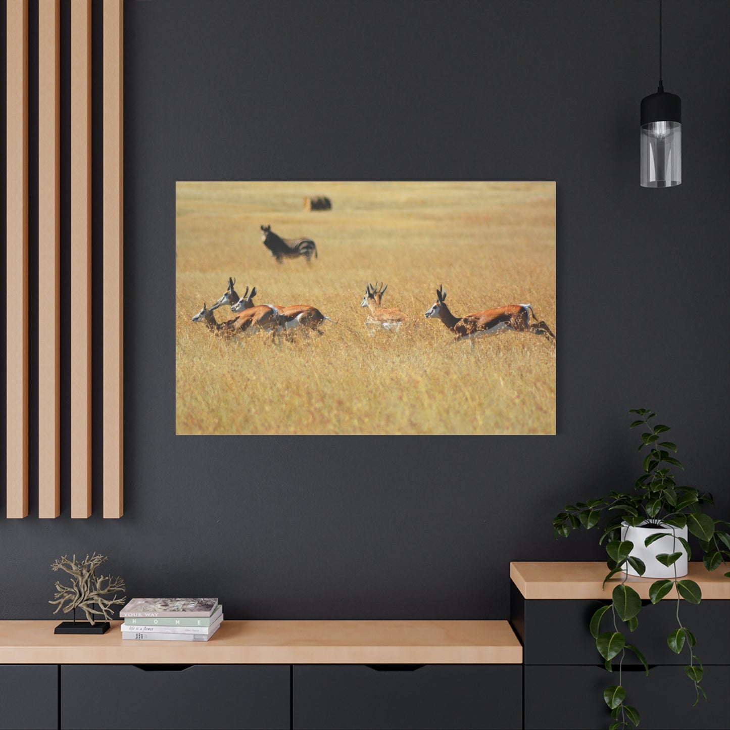 Springbok Herd in African Savannah