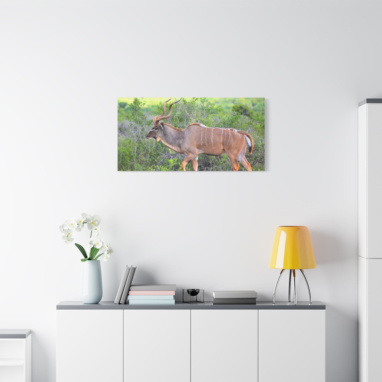Africa Kudu Bull - Canvas Print