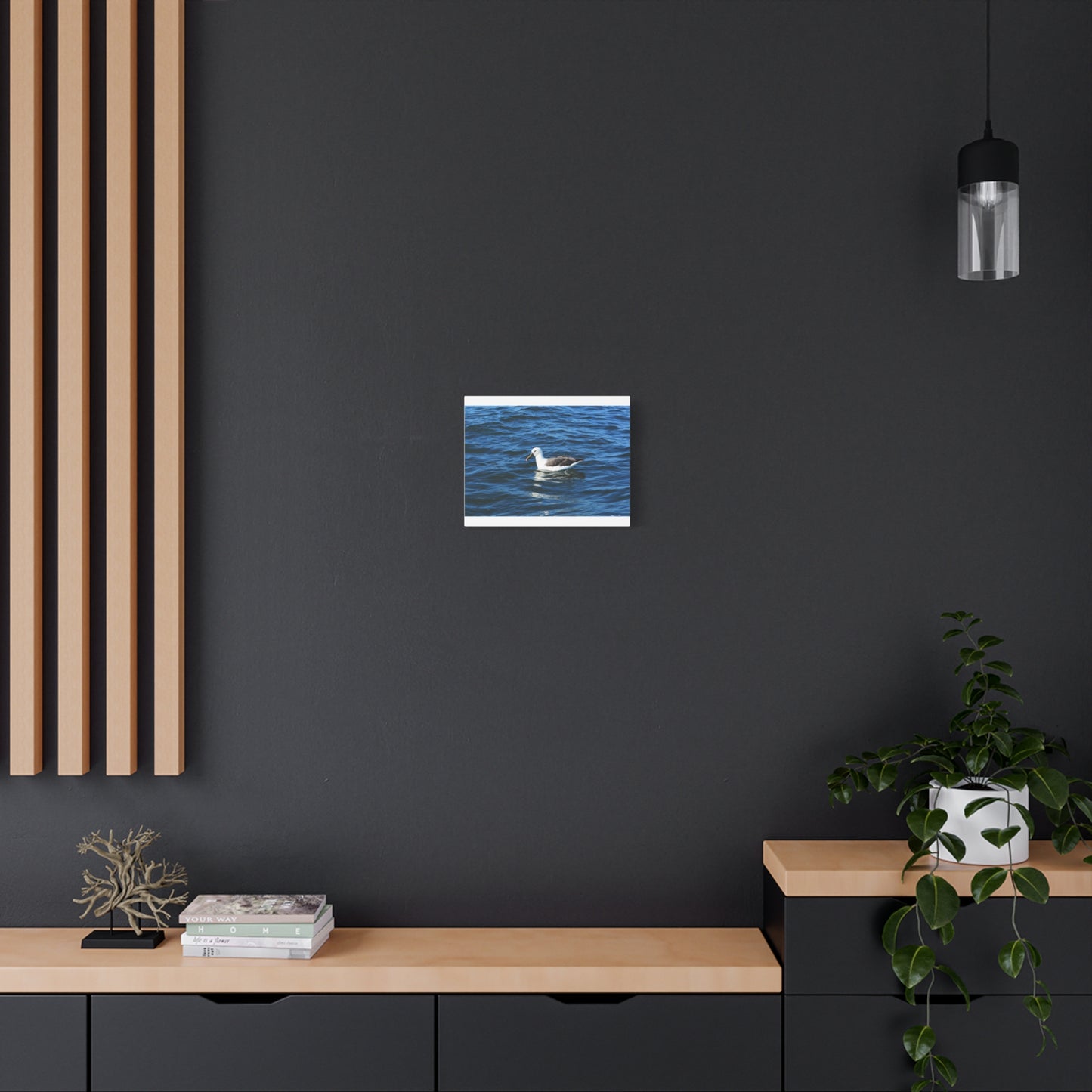 Albatross Canvas Print Sea Bird