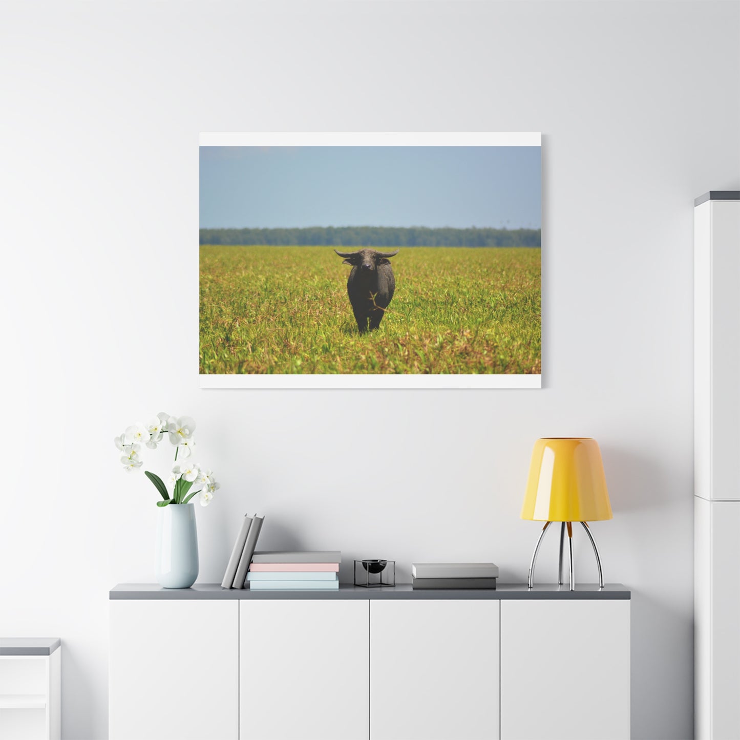 Asiatic Water Buffalo Australian Outback - Canvas Print