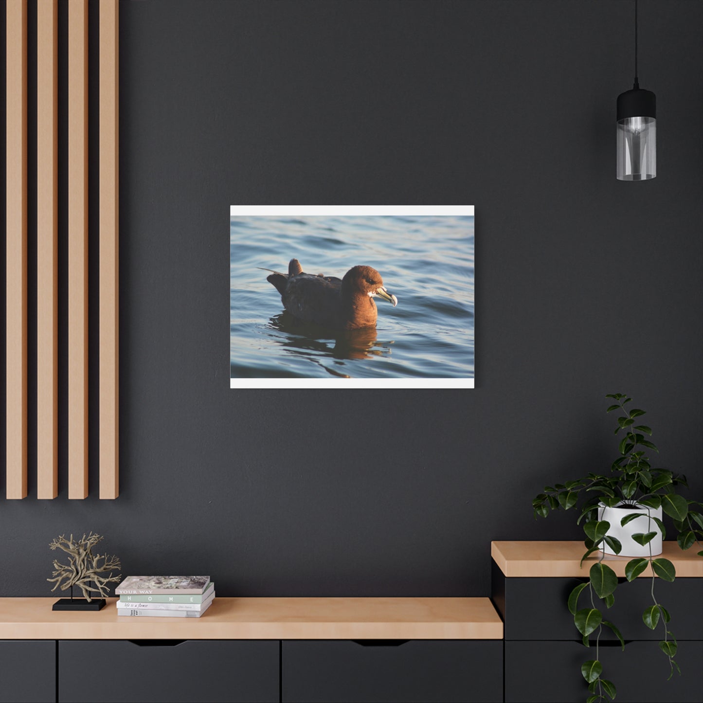 Bird Art Wall Decor, Coastal Wall Art, Ocean Decor, Nature Photography, Sea Bird Print