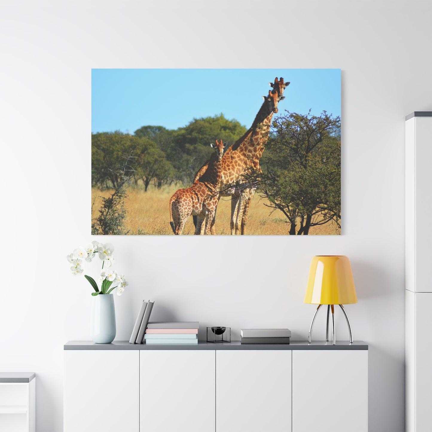 Giraffe Family in Africa