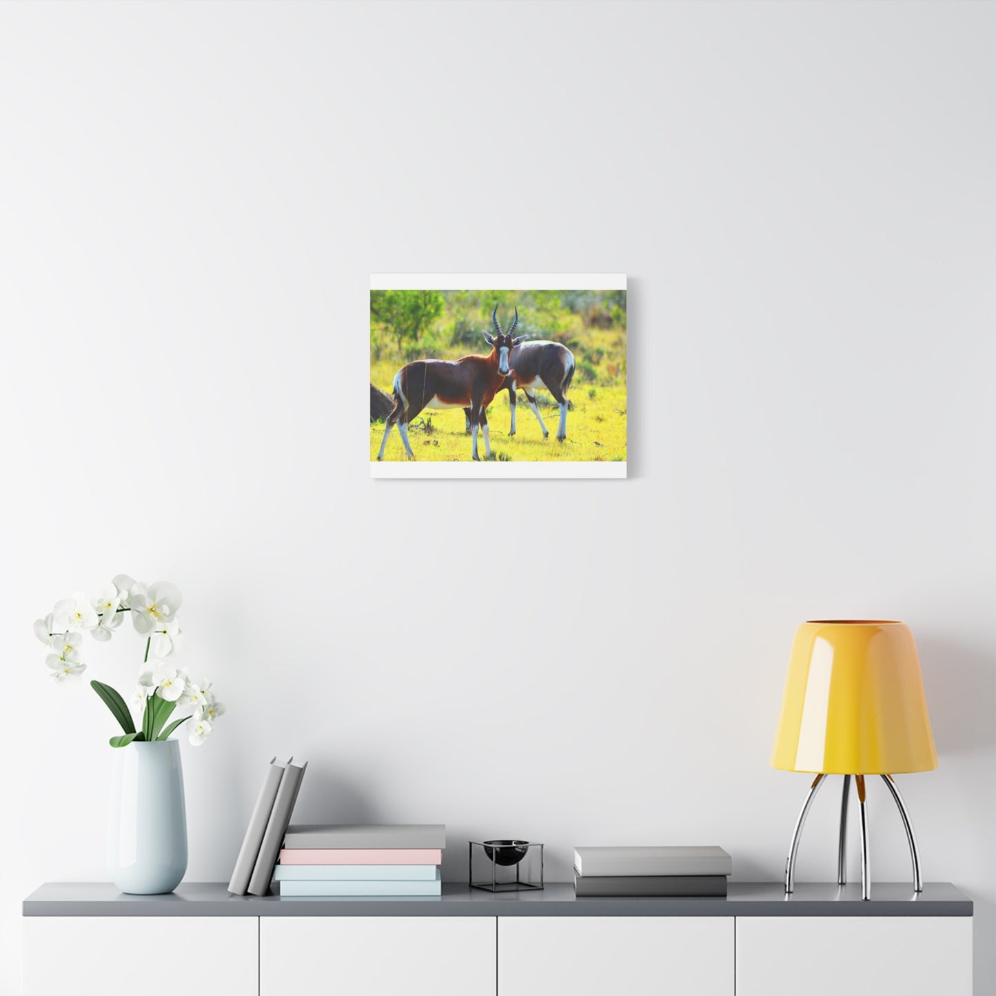 Blesbok in Africa - Canvas Print