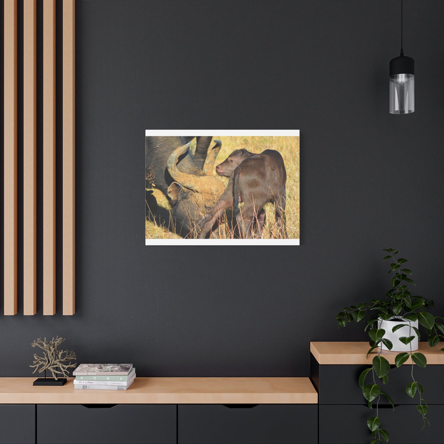 Cape Buffalo Tends to Calf