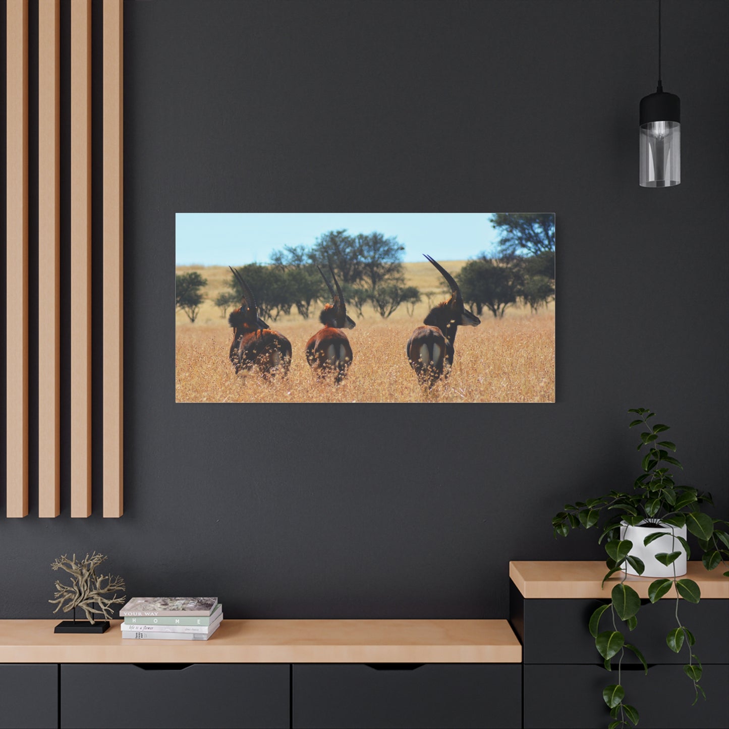 Sable Trio in Africa Canvas Print
