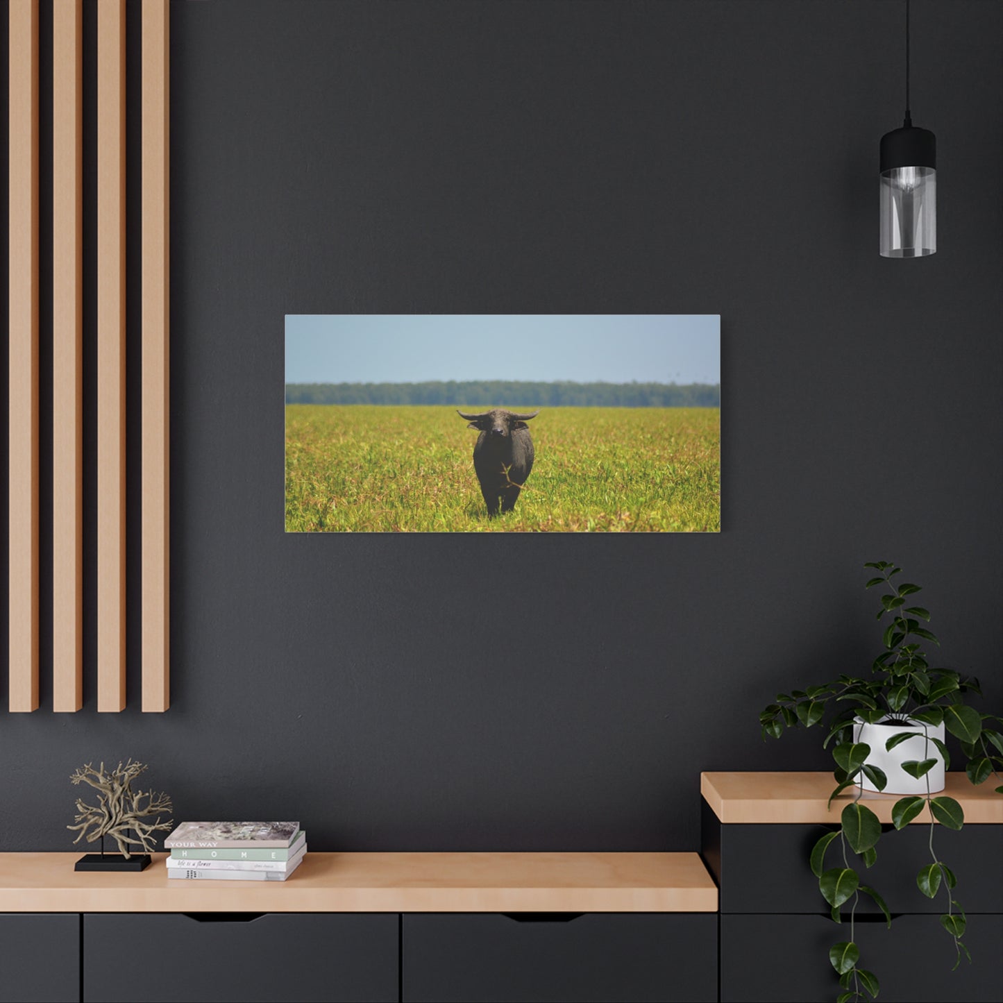Asiatic Water Buffalo Australian Outback - Canvas Print