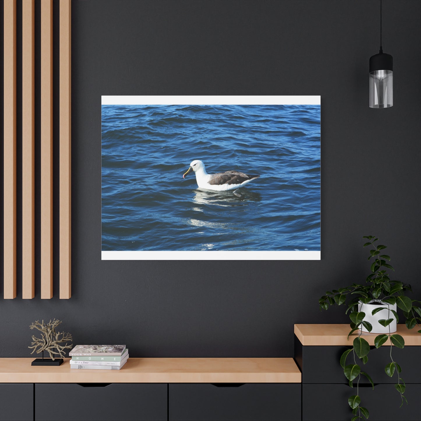 Albatross Canvas Print Sea Bird