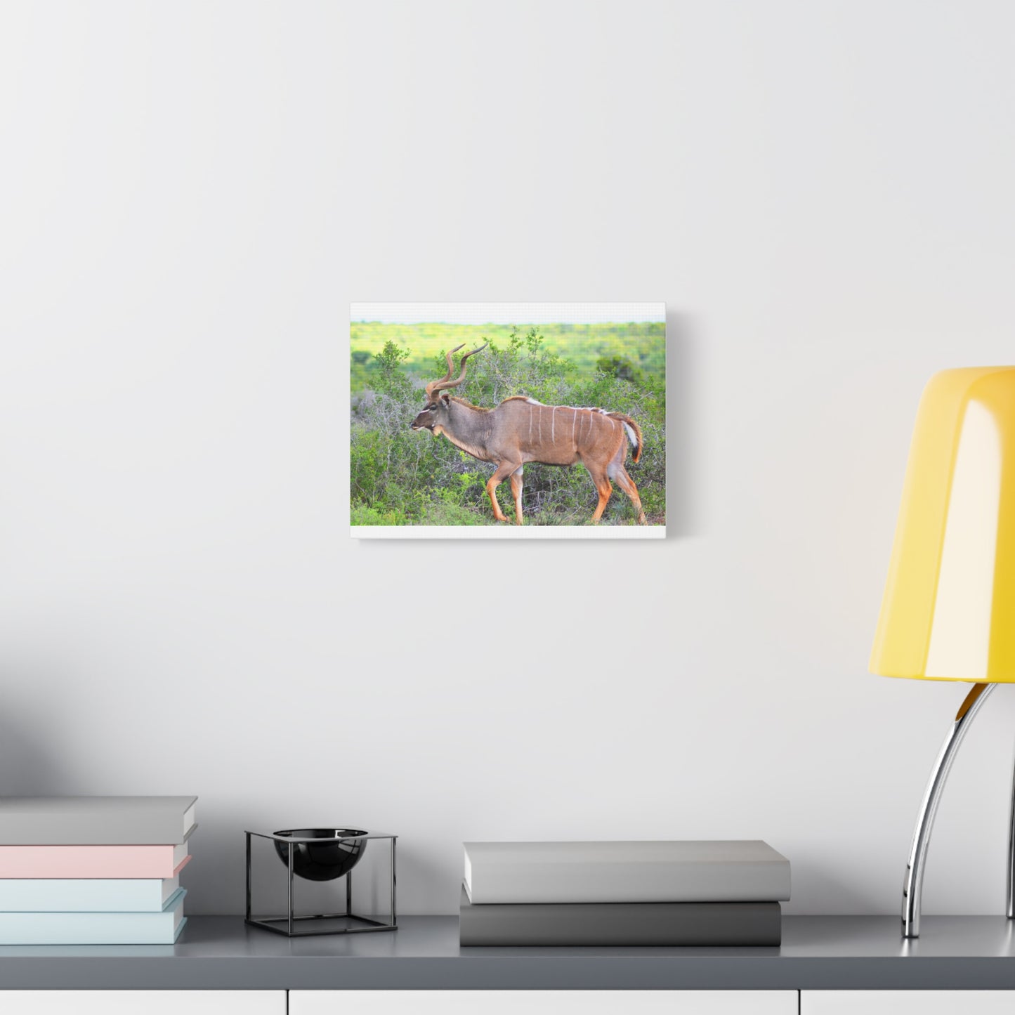 Africa Kudu Bull - Canvas Print