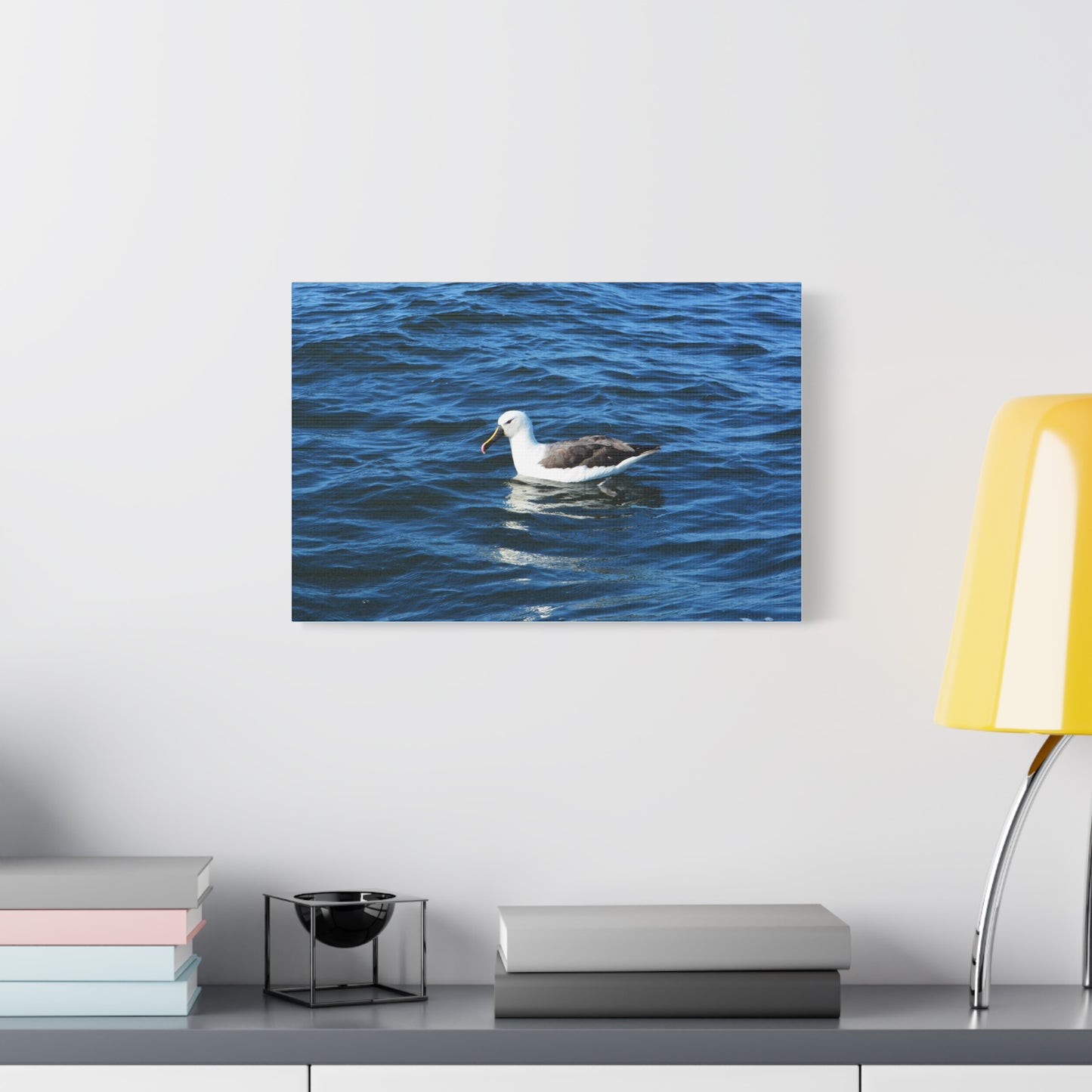 Albatross Canvas Print Sea Bird