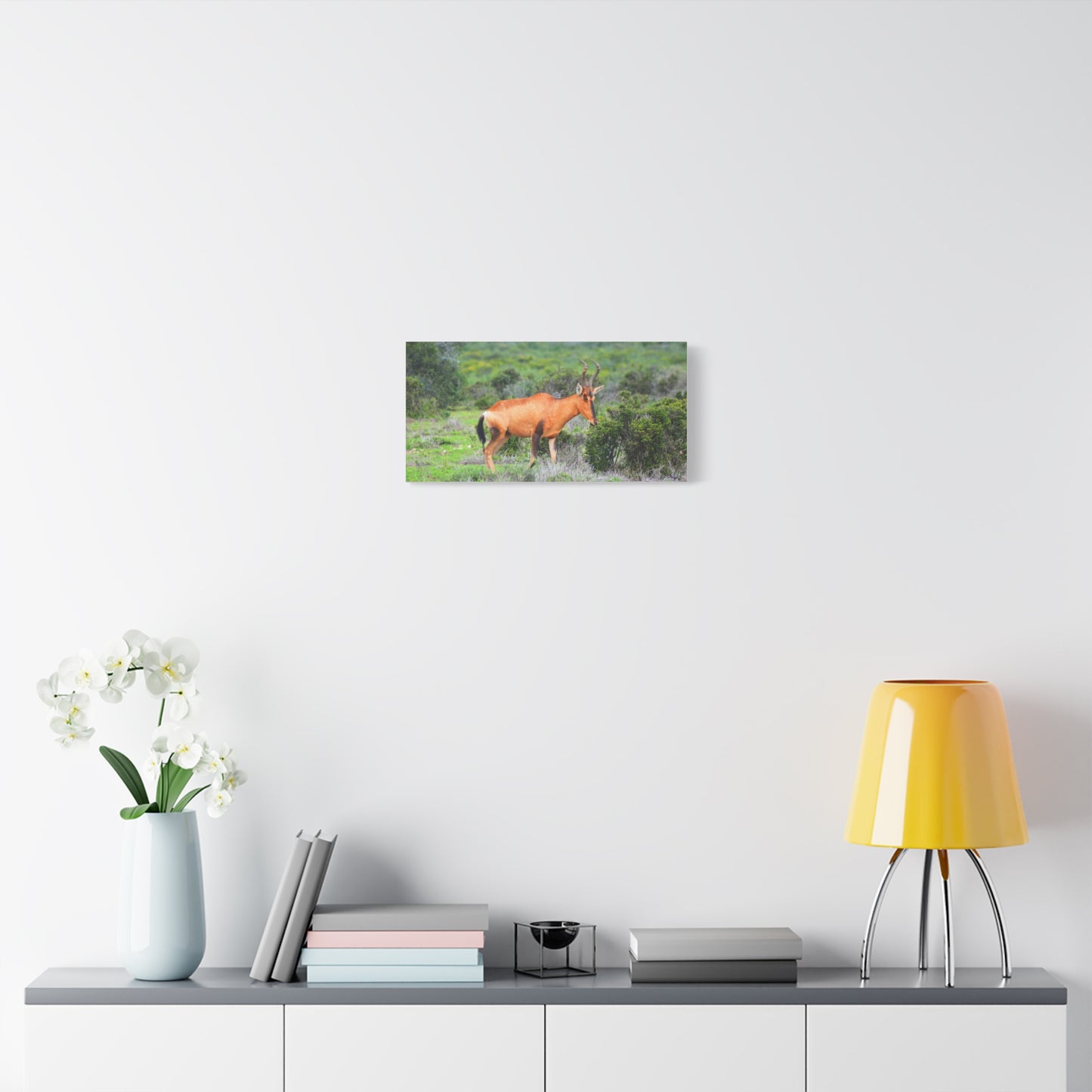 Africa Red Hartebeest - Canvas Print