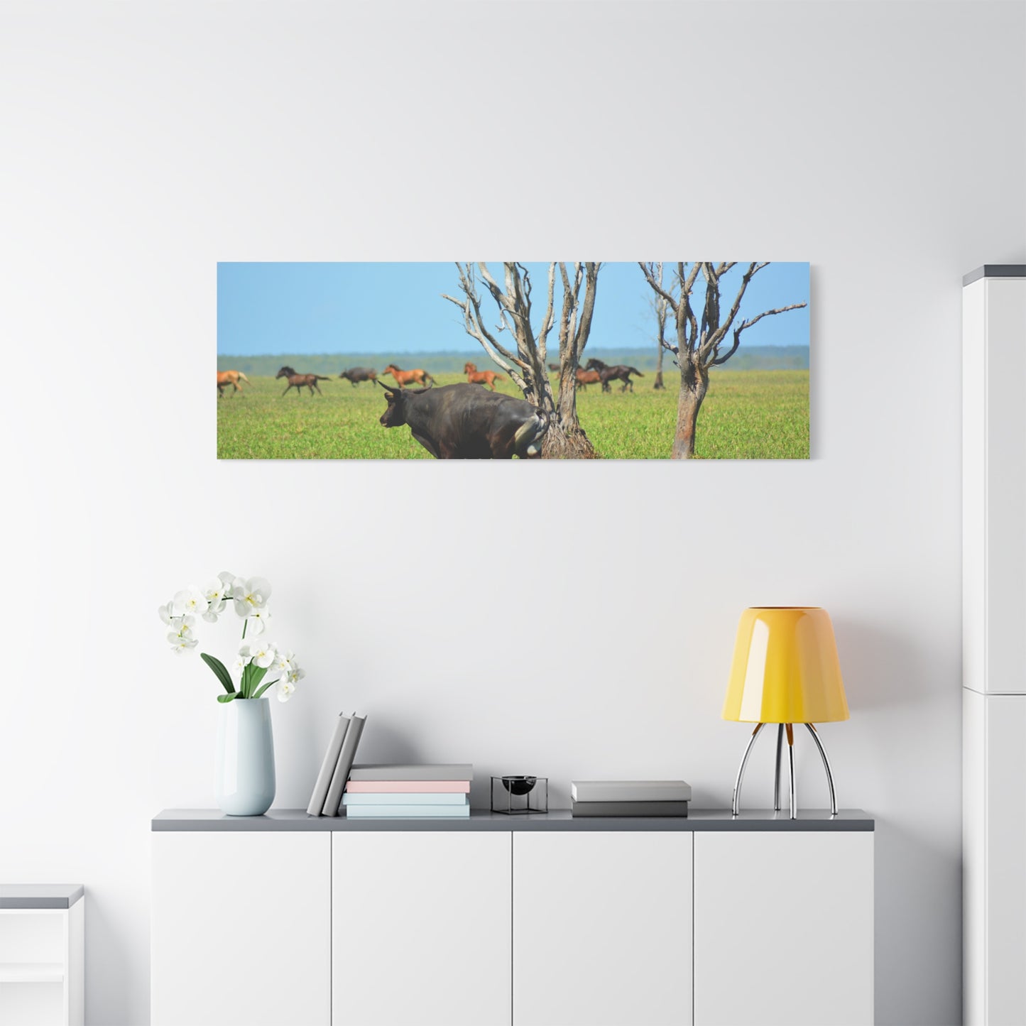 Australia Banteng - Canvas Print