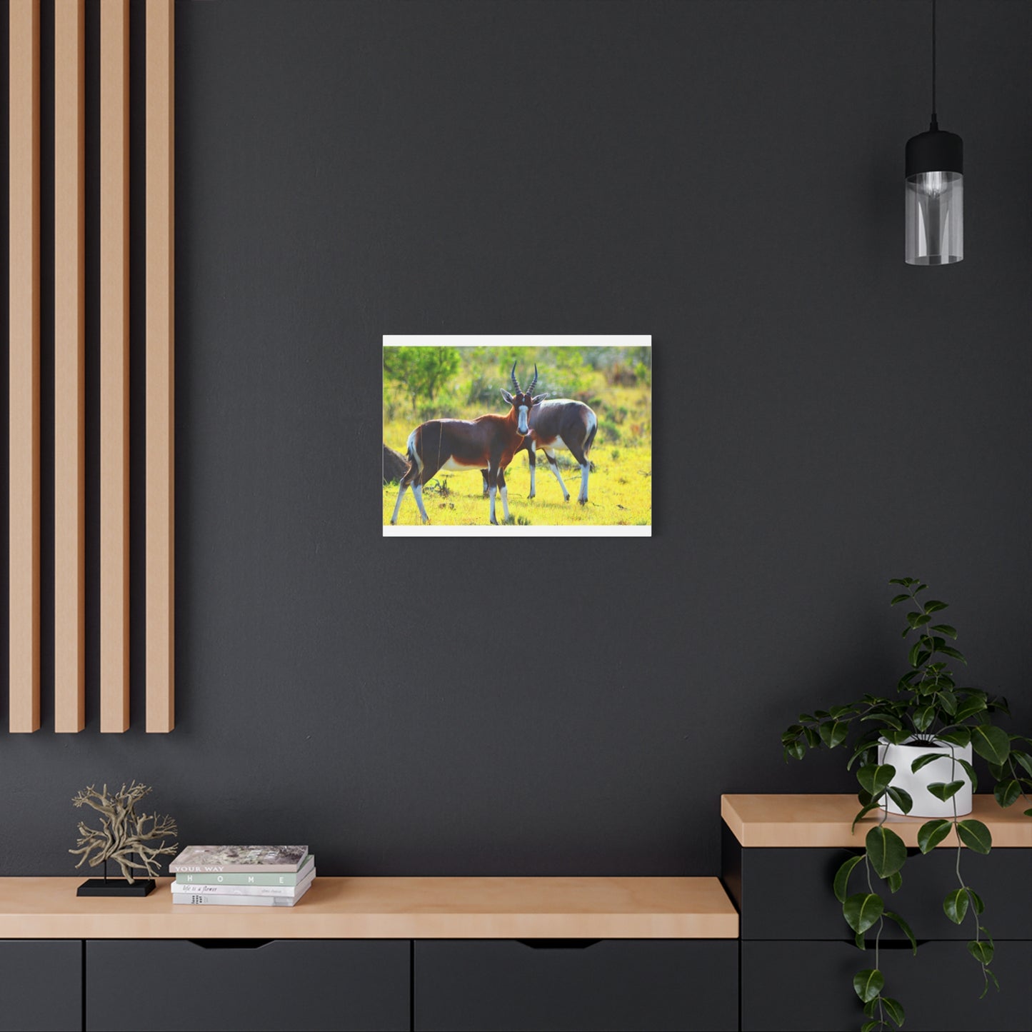 Blesbok in Africa - Canvas Print
