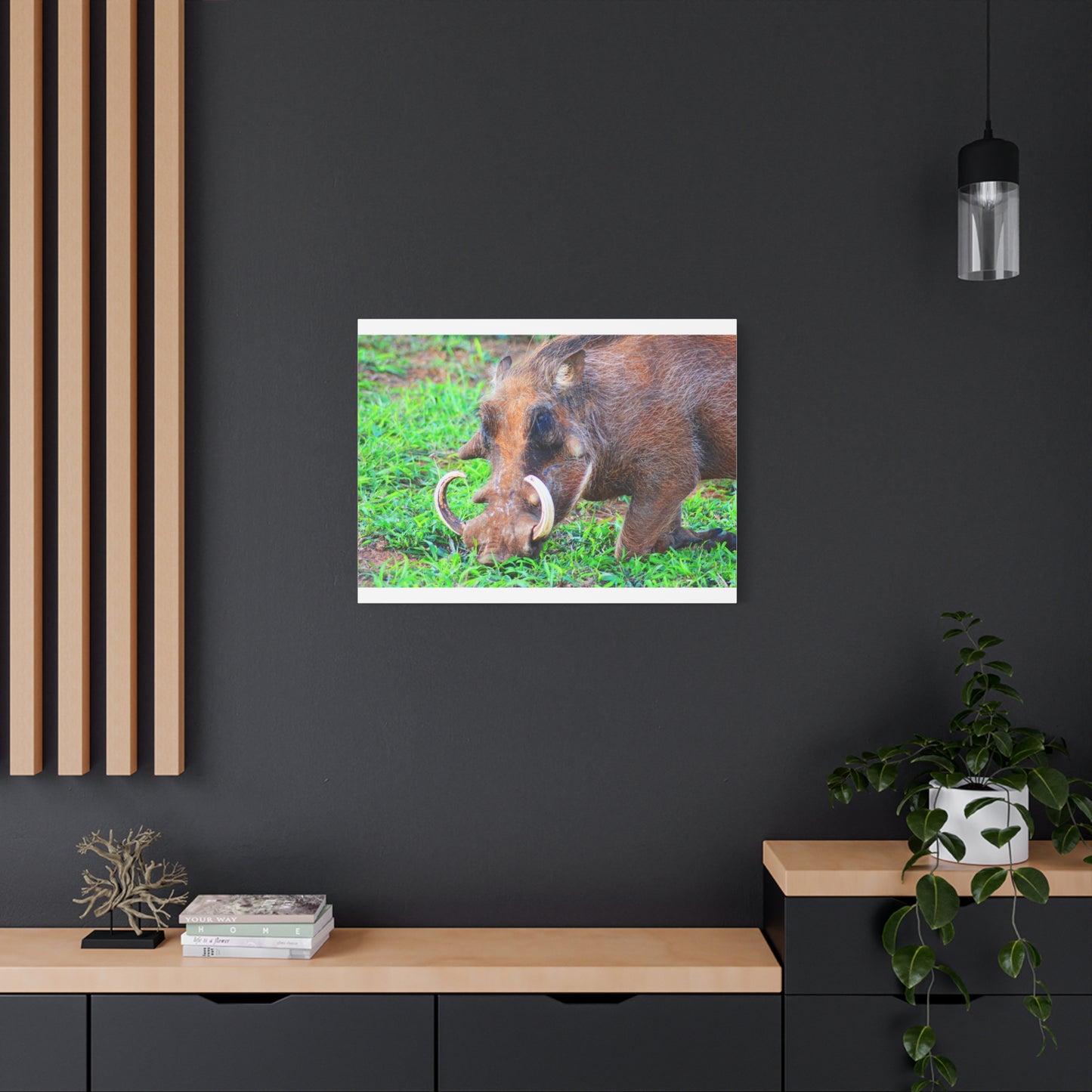African Warthog Eating - Canvas Print