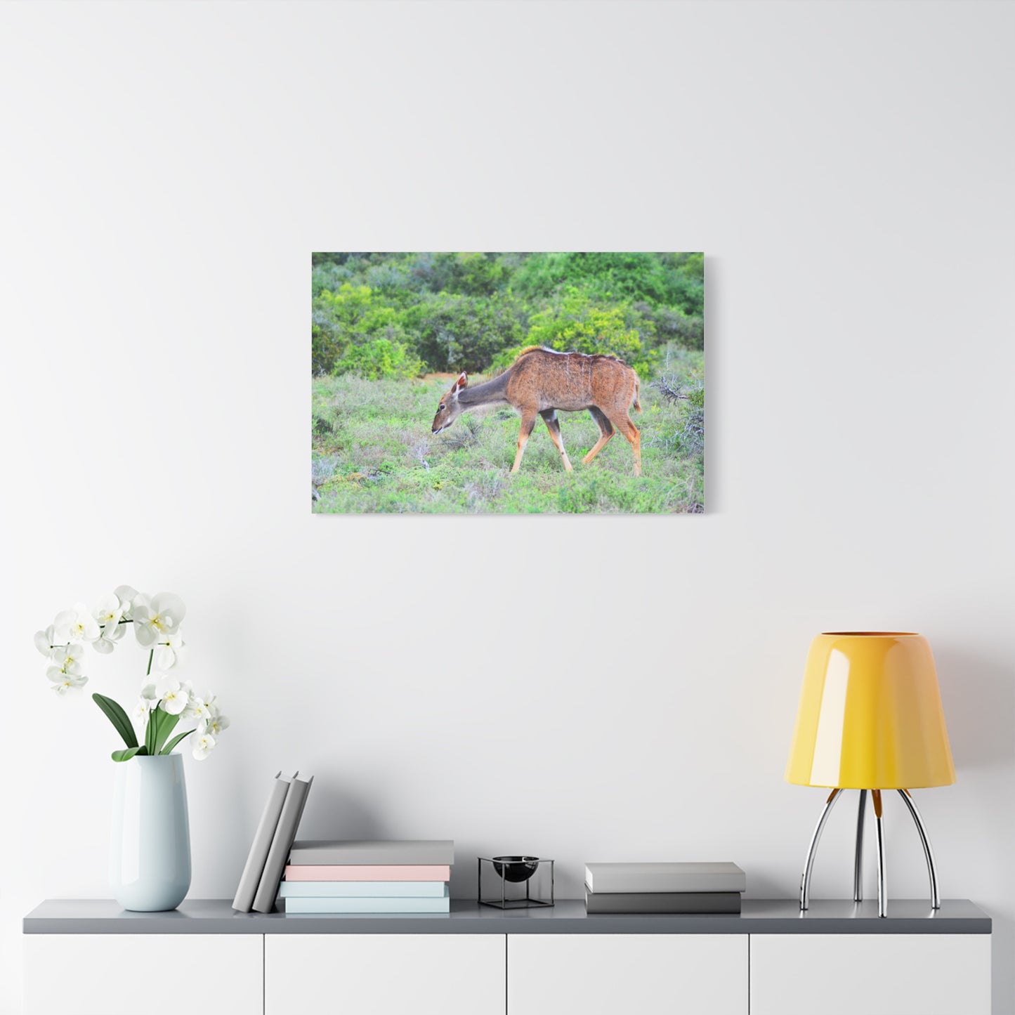 Africa Kudu Cow - Canvas Print