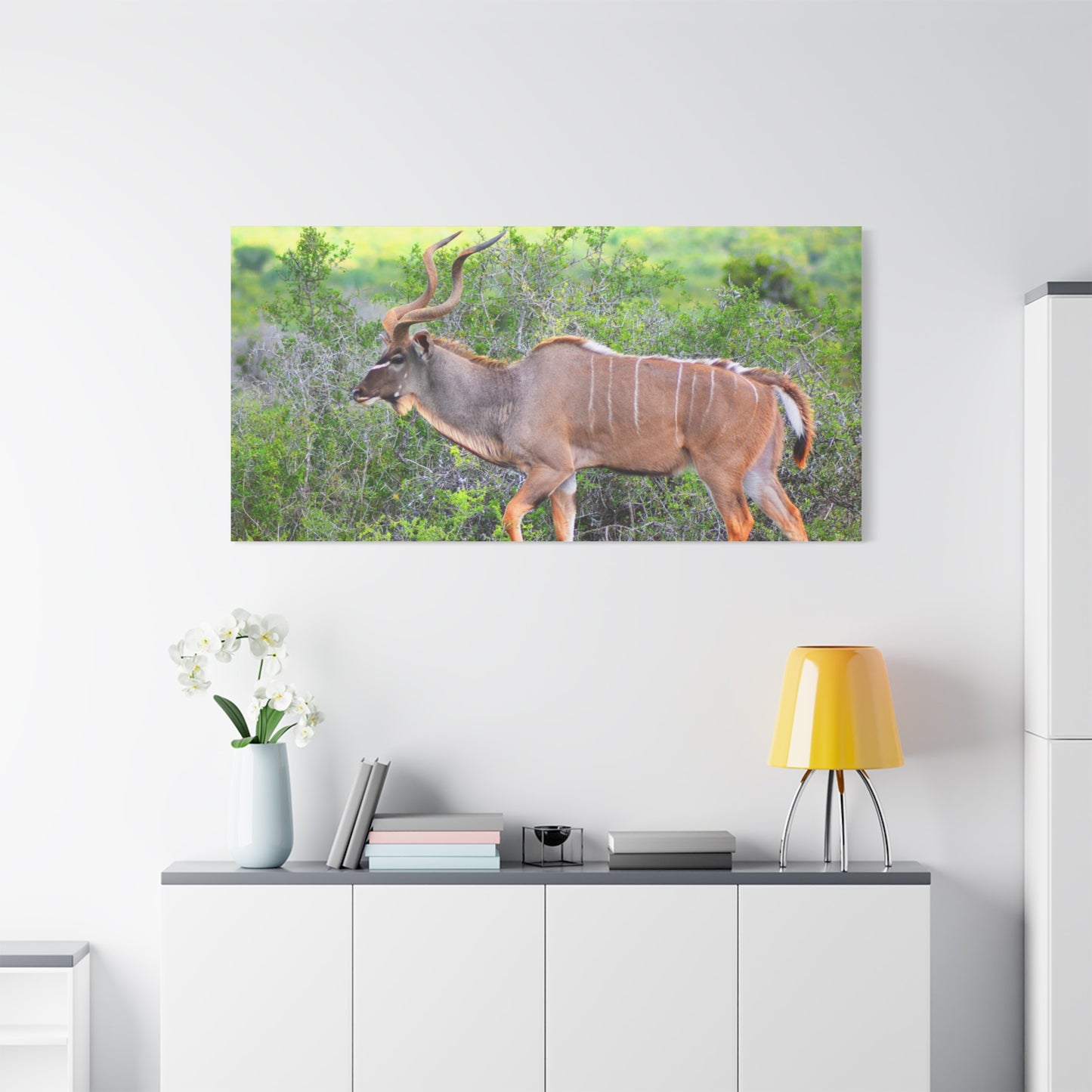 Africa Kudu Bull - Canvas Print