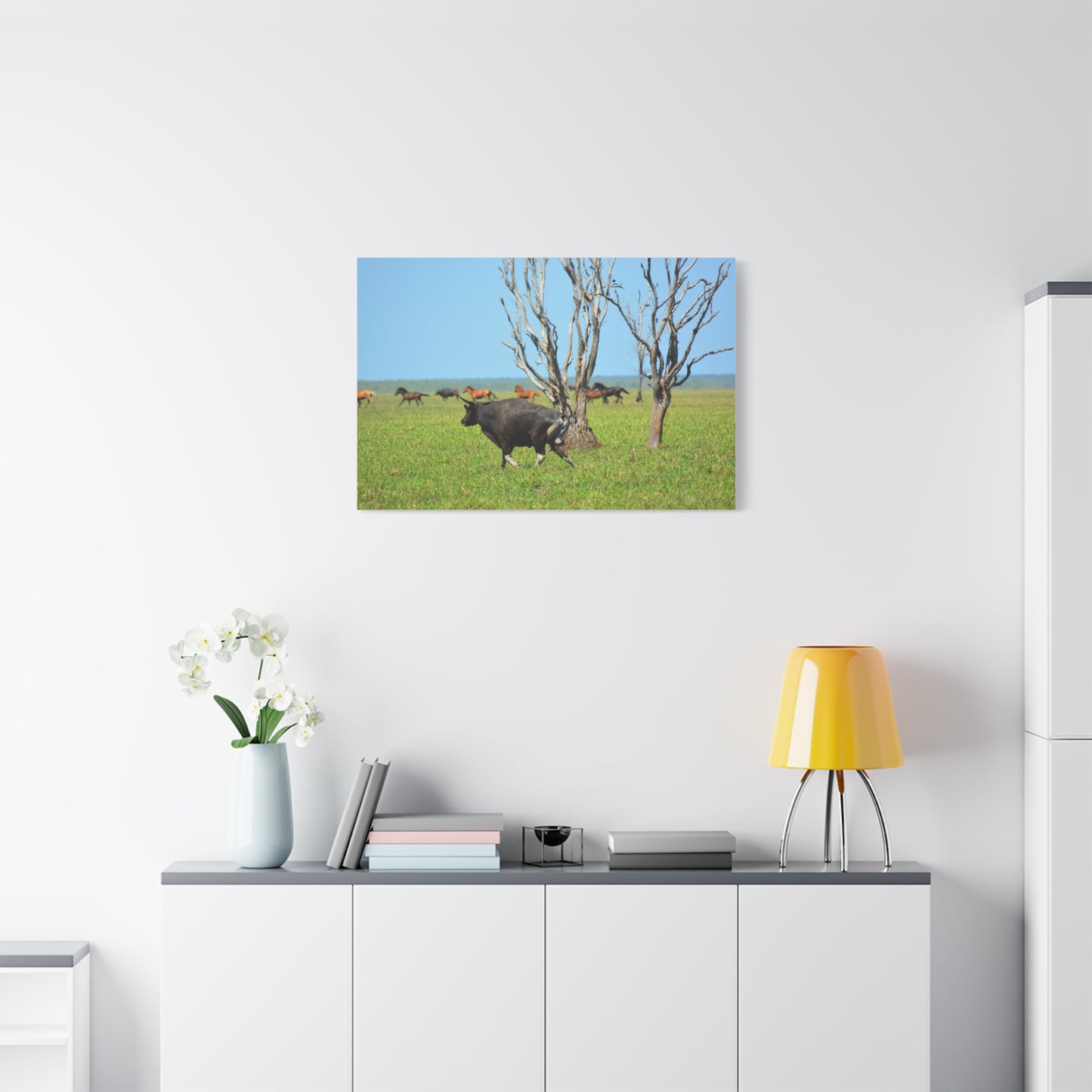 Australia Banteng - Canvas Print