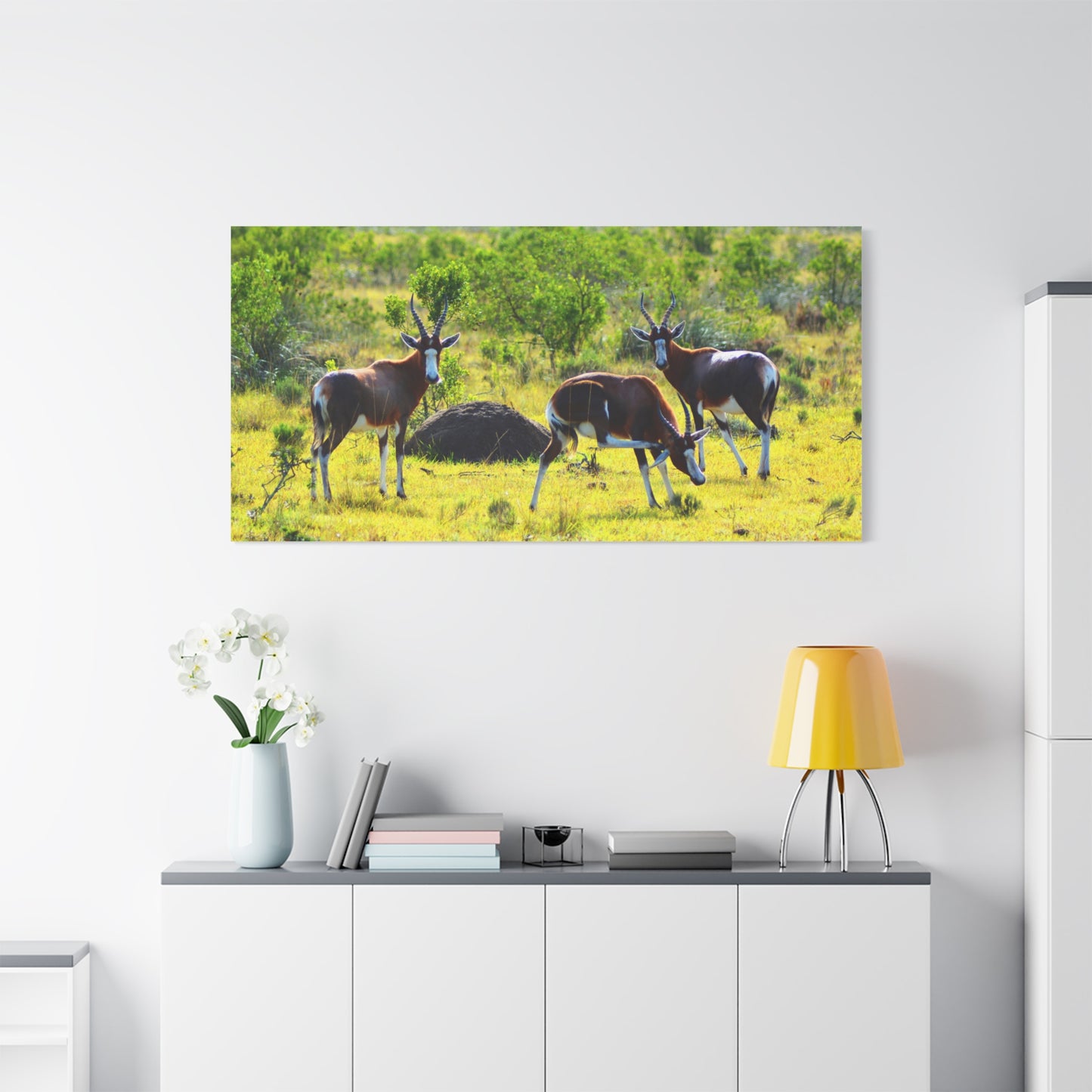Blesbok in Africa - Canvas Print