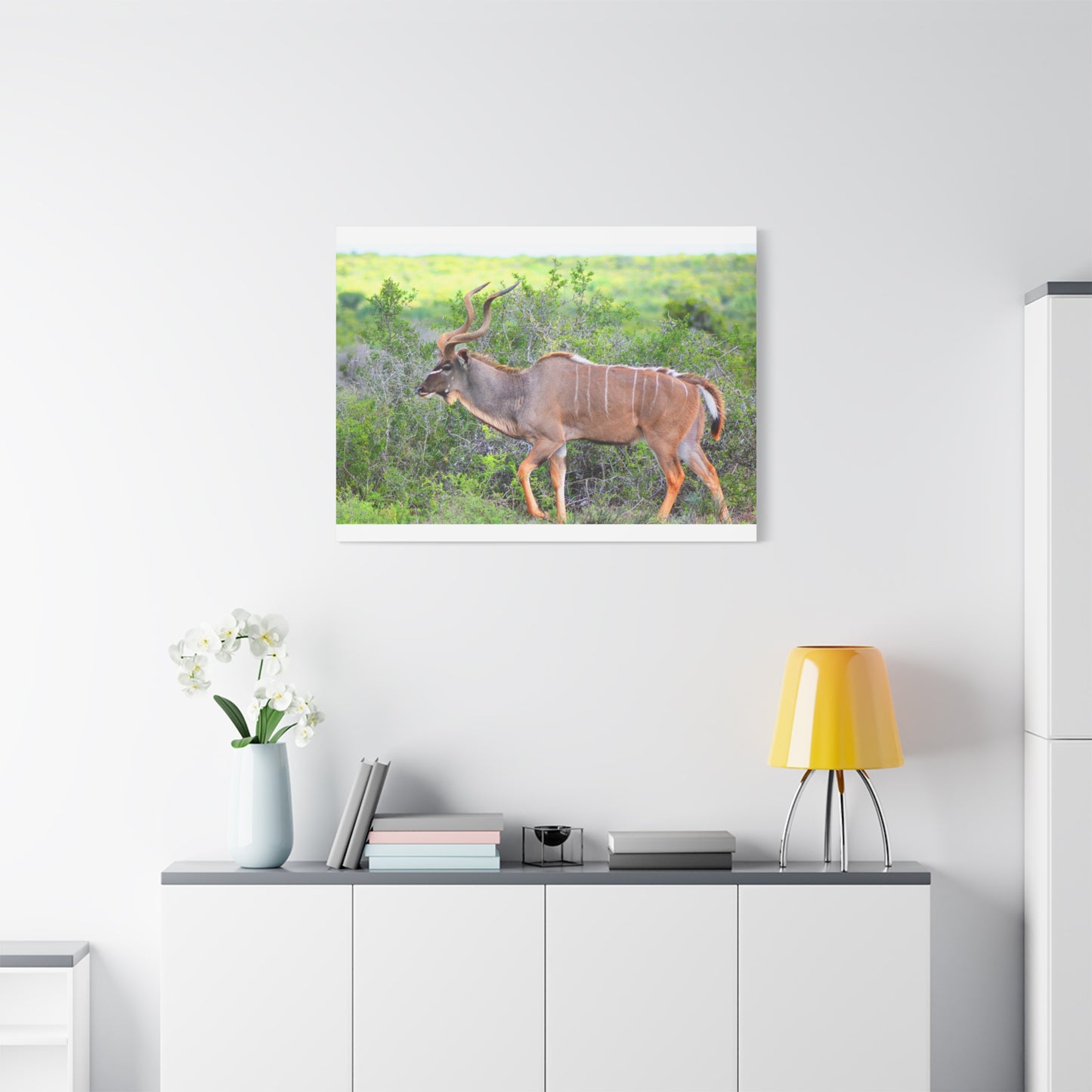 Africa Kudu Bull - Canvas Print